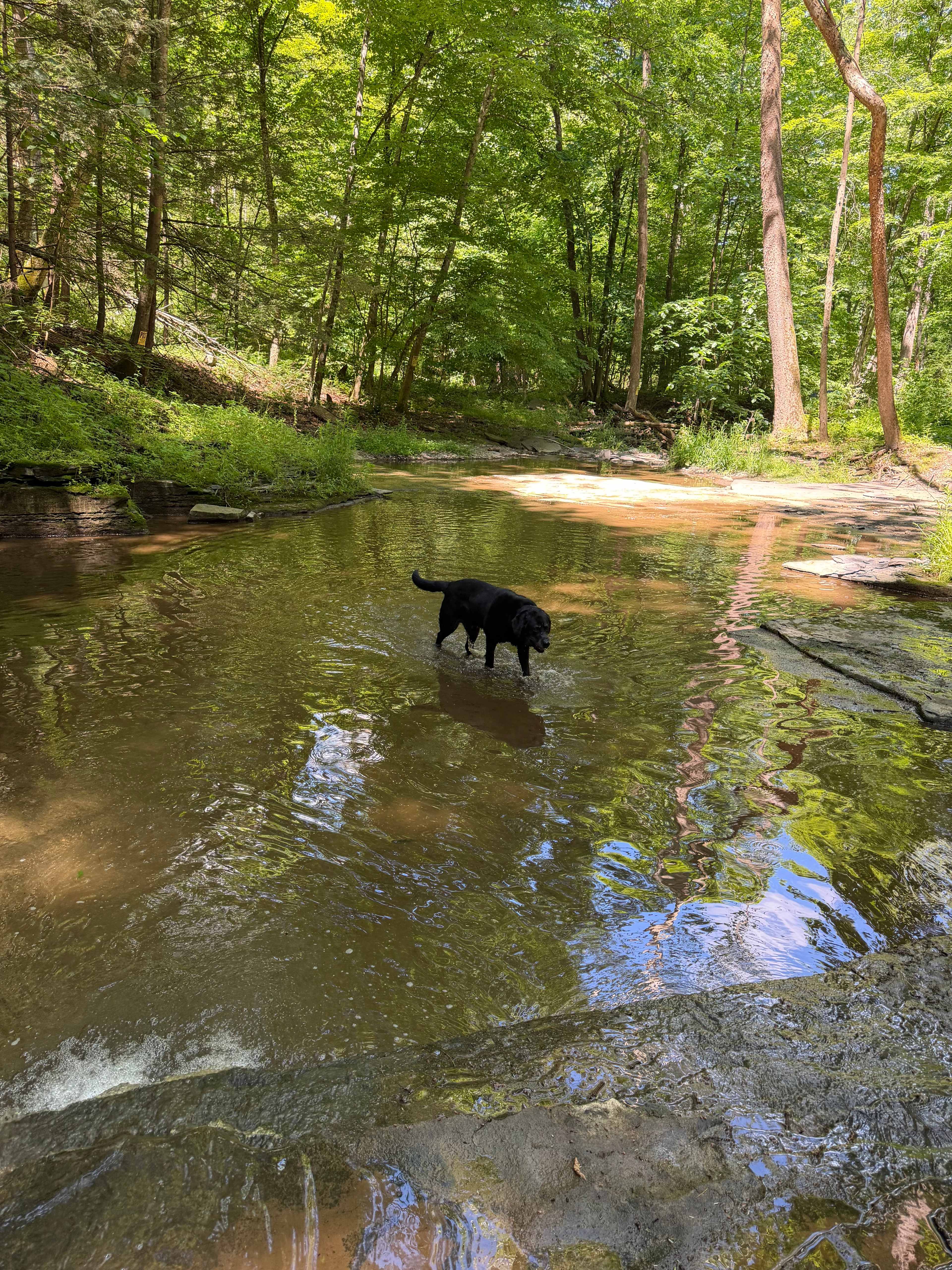 Waterfall Creek