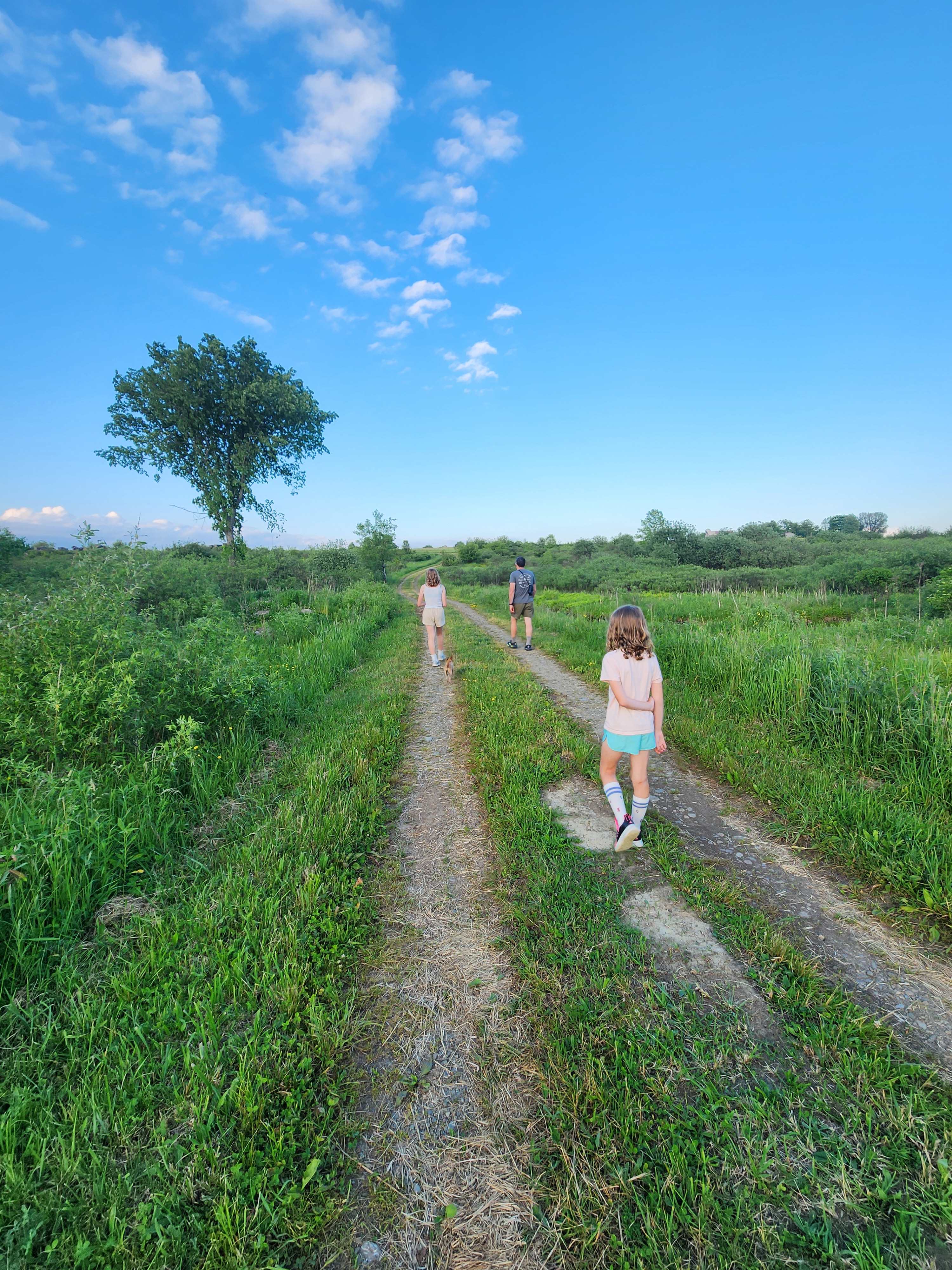 May Farms