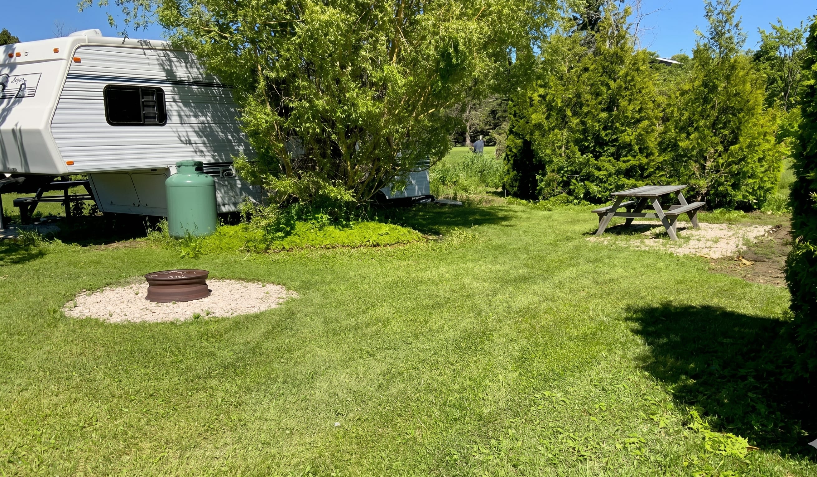 Picture of the site