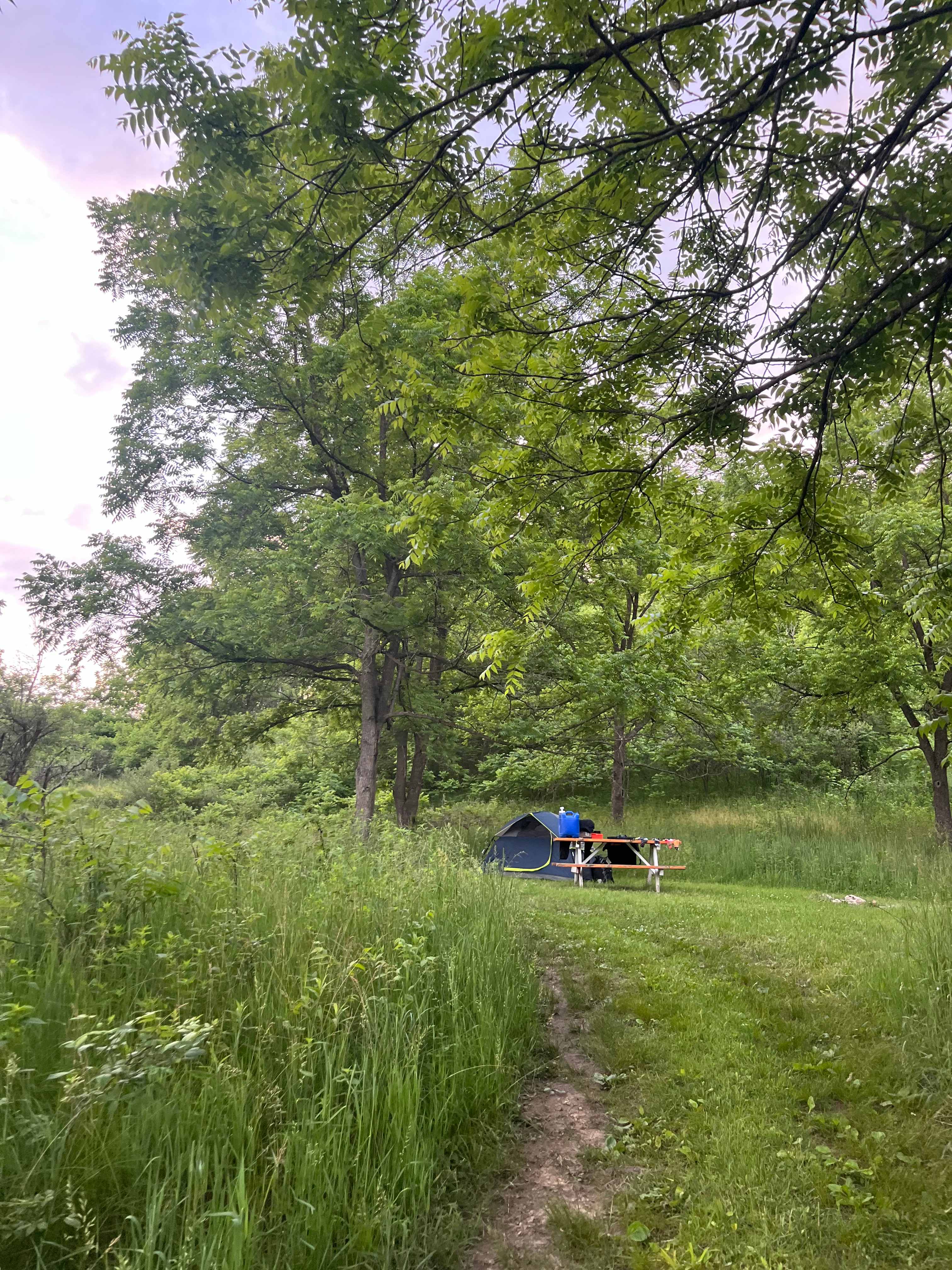 Picture of the site