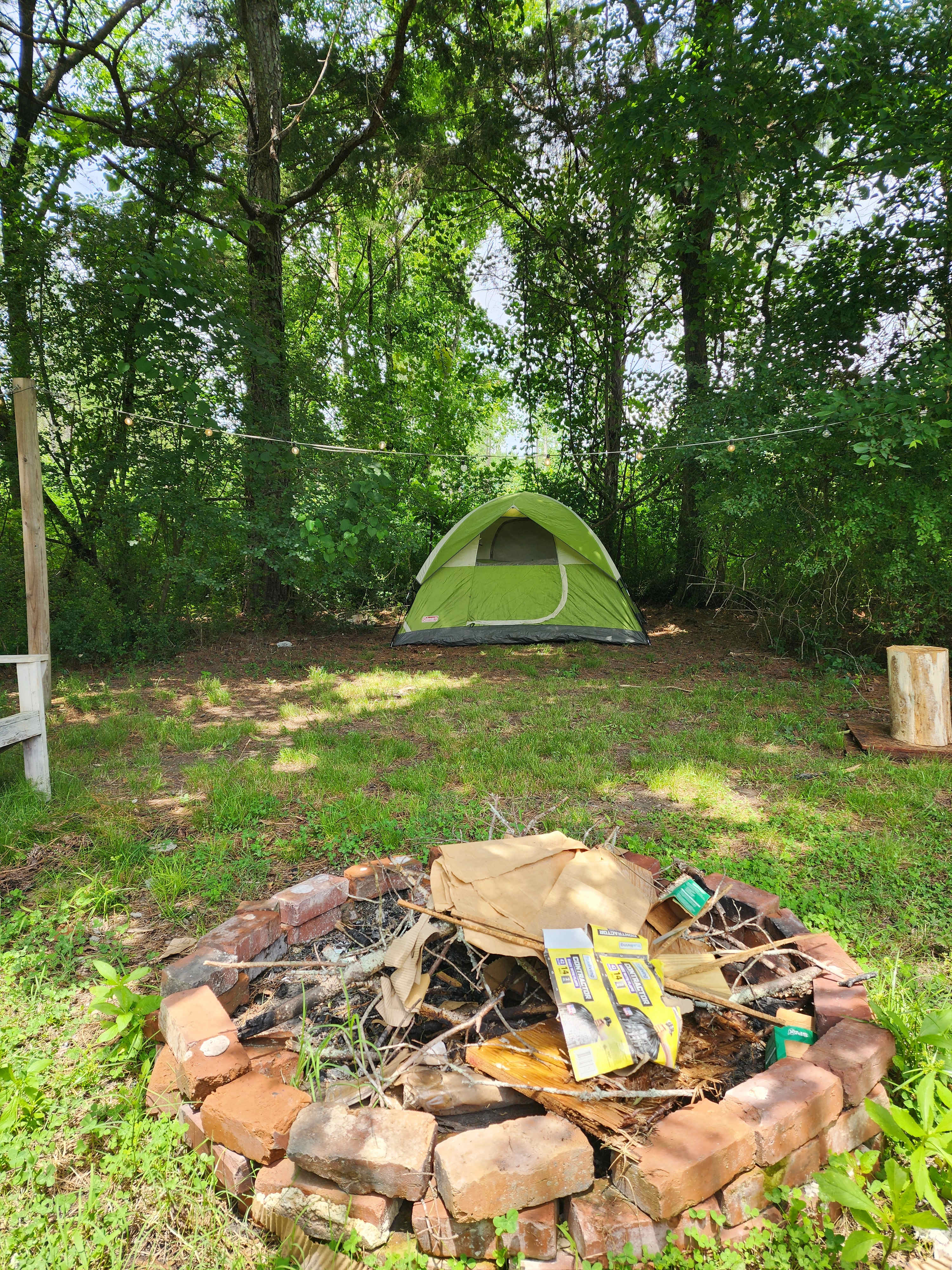 Picture of the site