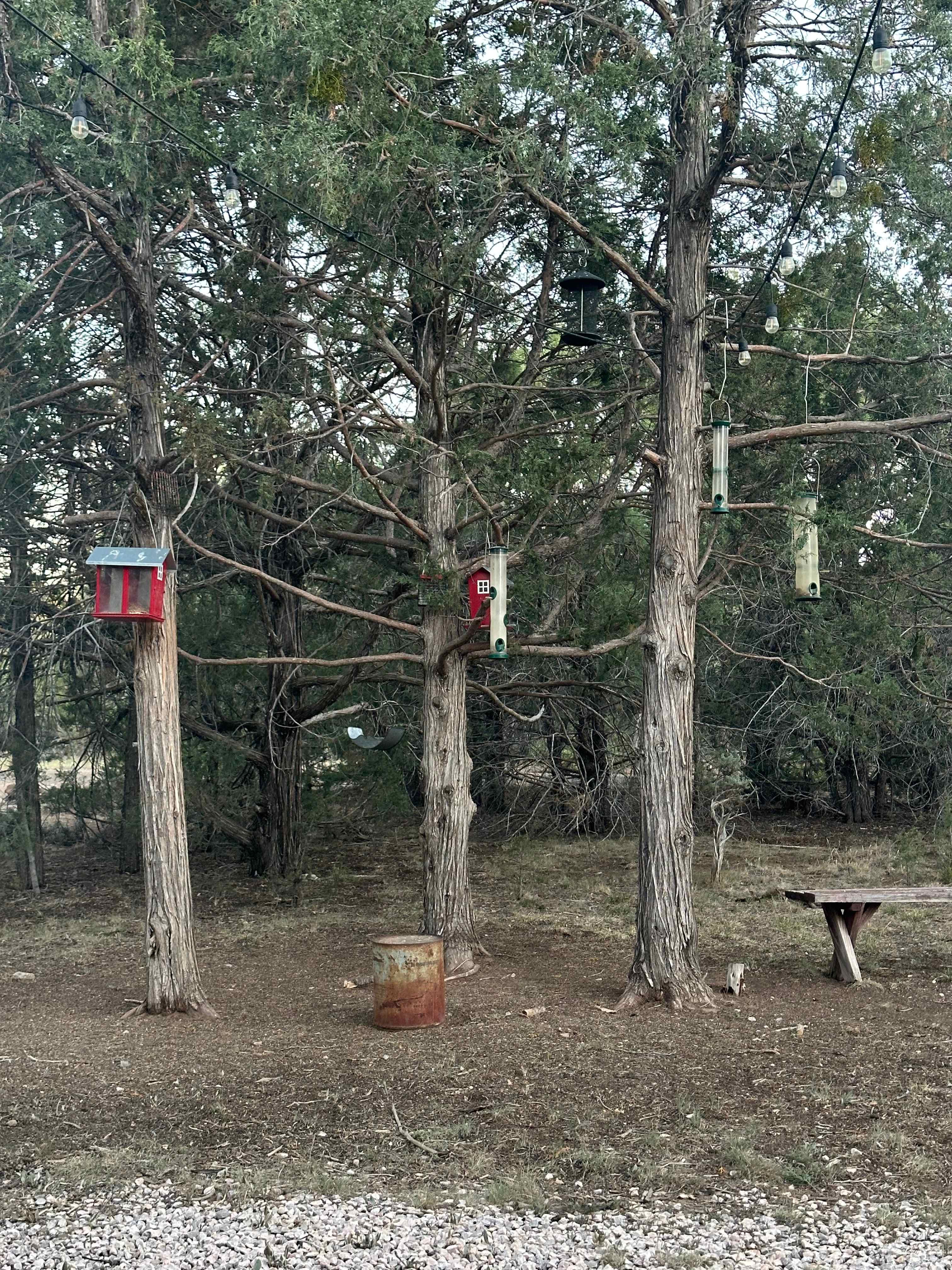 Bear Paw lake Cabin