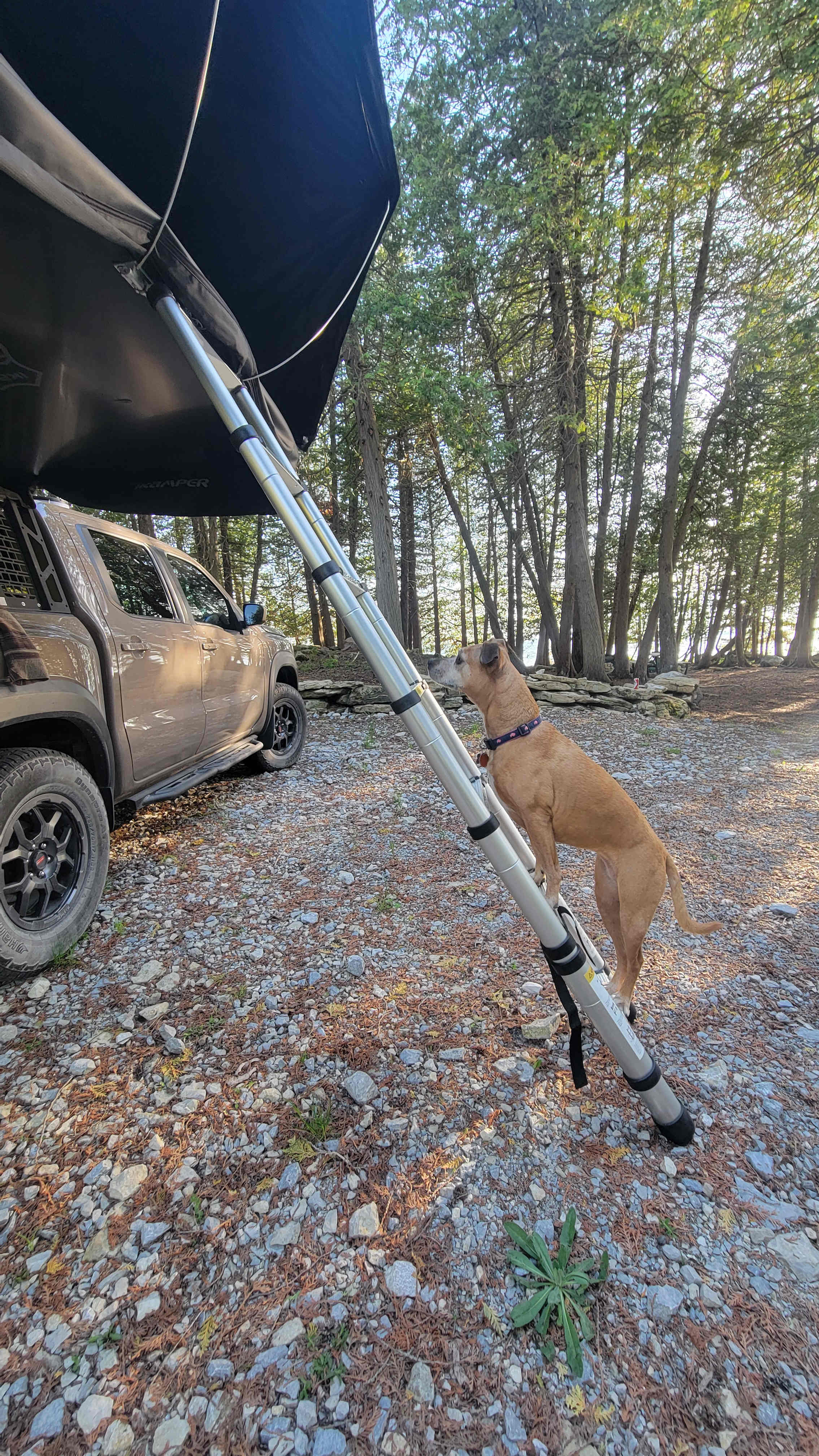 Lakepoint Lodging and Camping