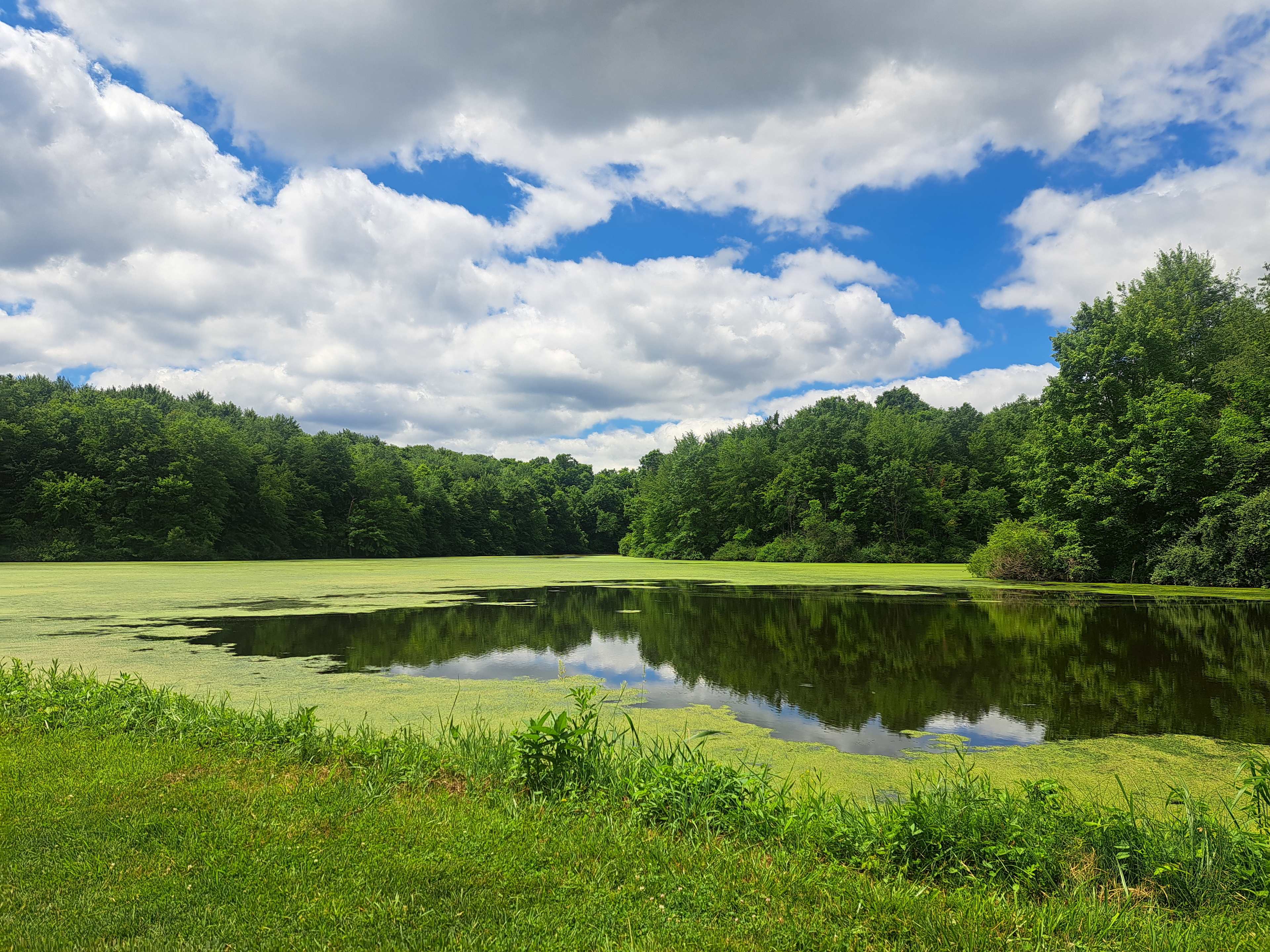 The Lake at the Flying J Farm