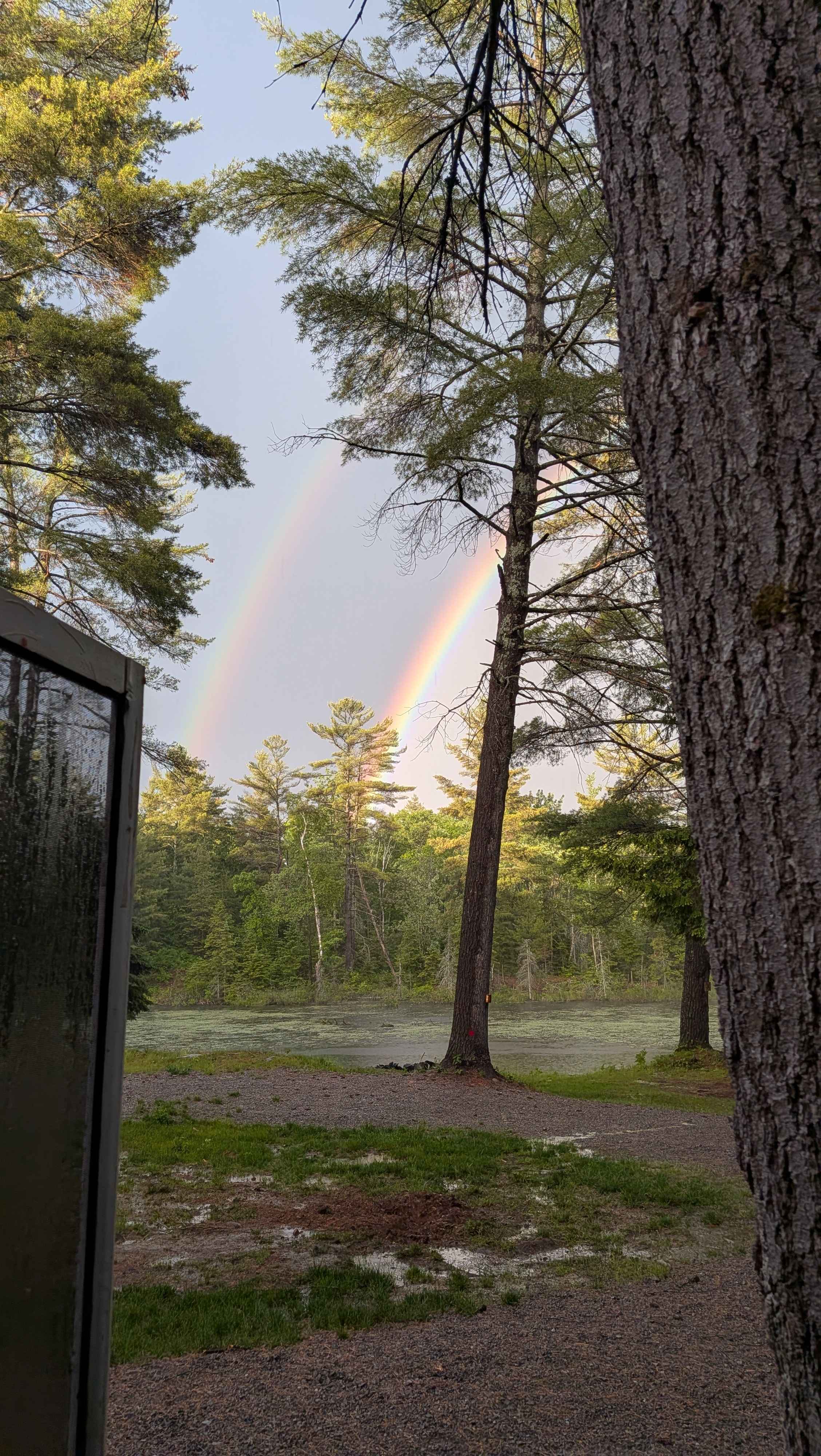 Hemlock Point Campground