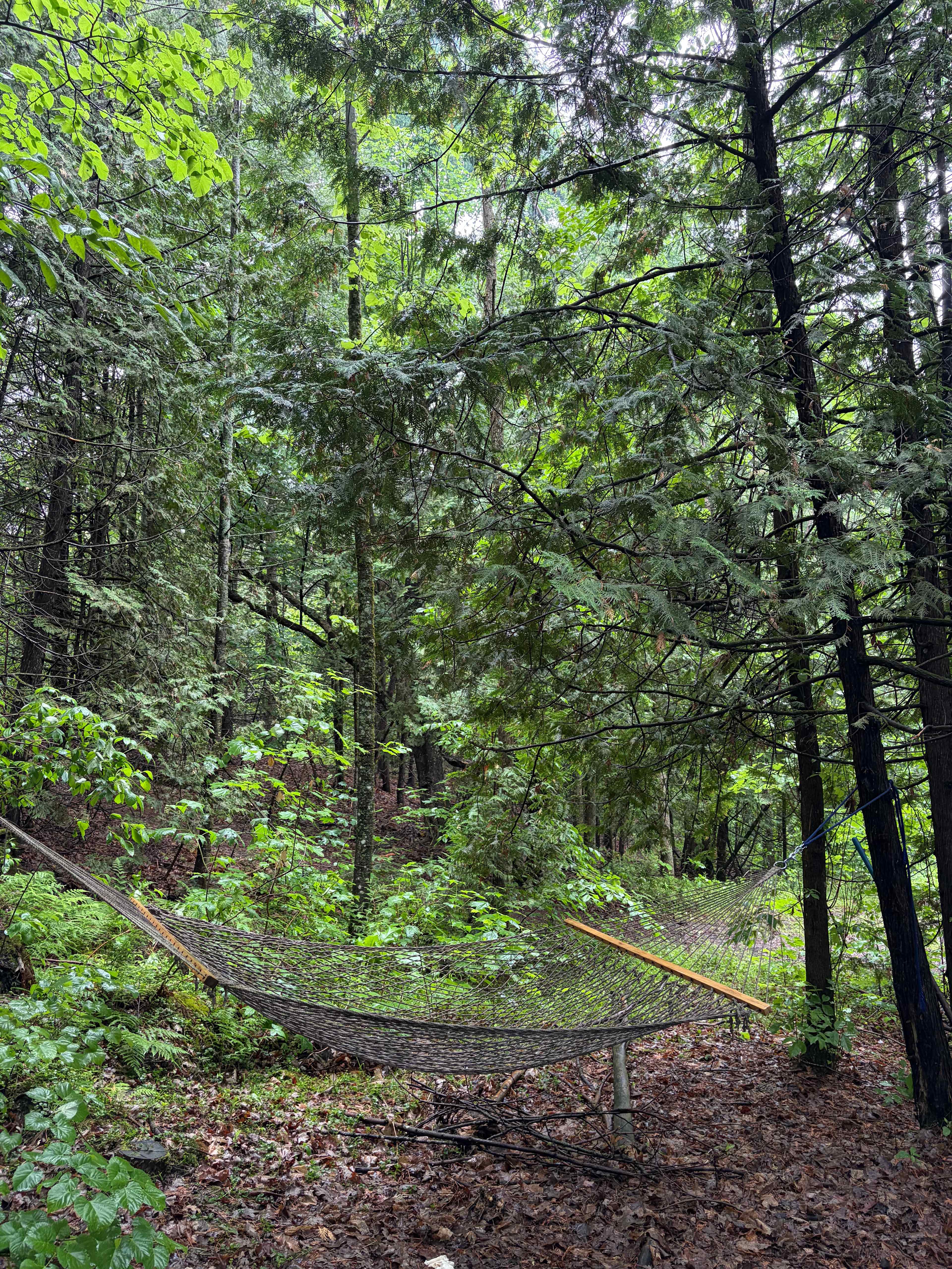Misty Meadows Eco Retreat
