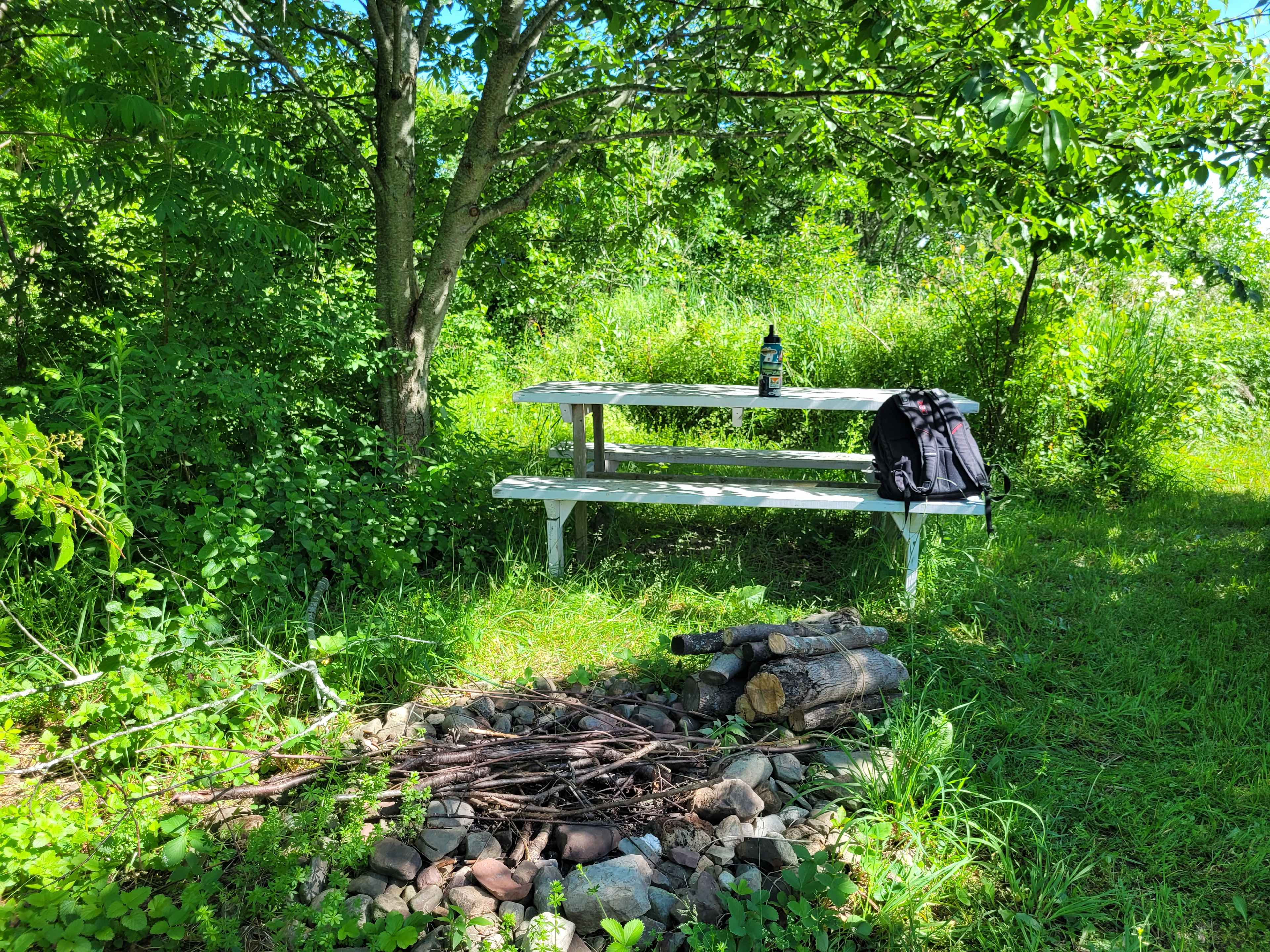 Thorndon Meadows