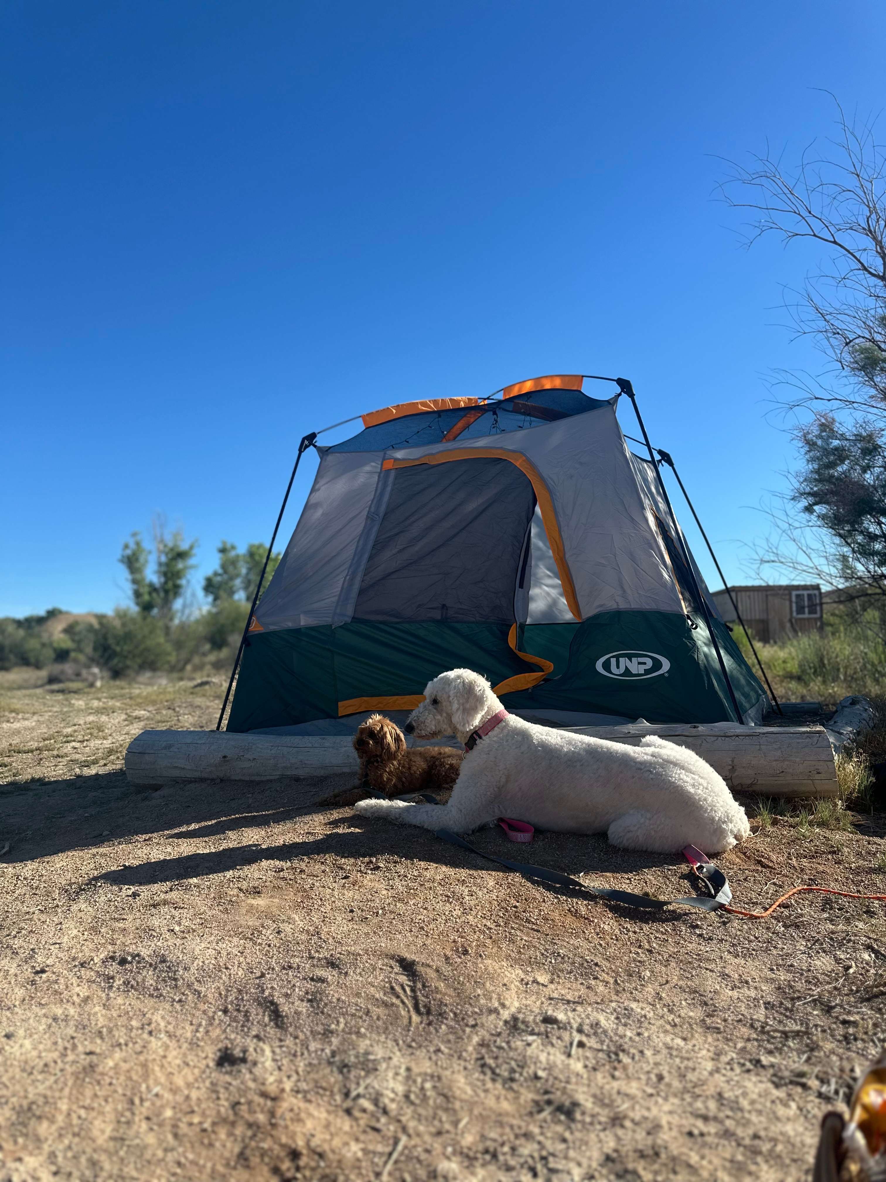 Bear Family Ranch, RV and Camping