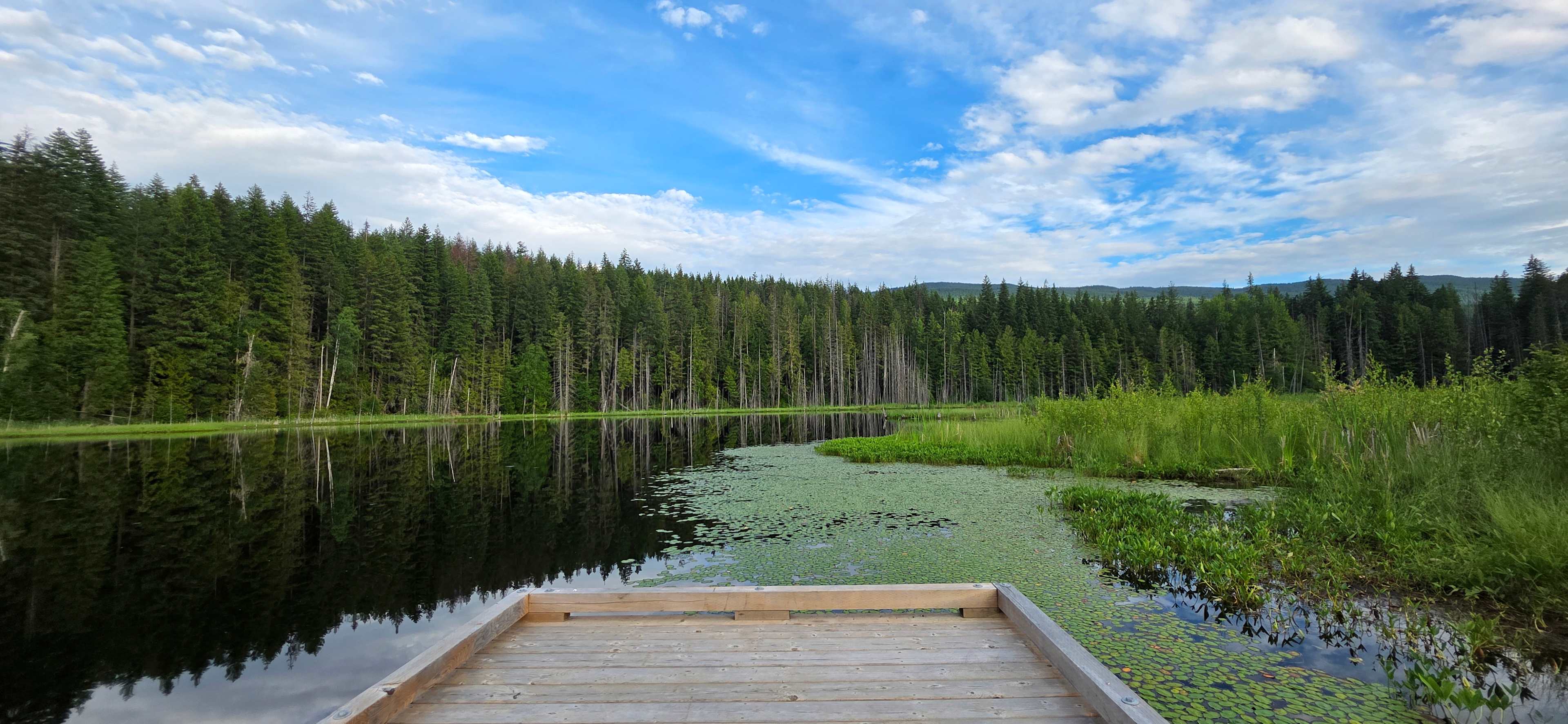 Herman Lake Wilderness Campground
