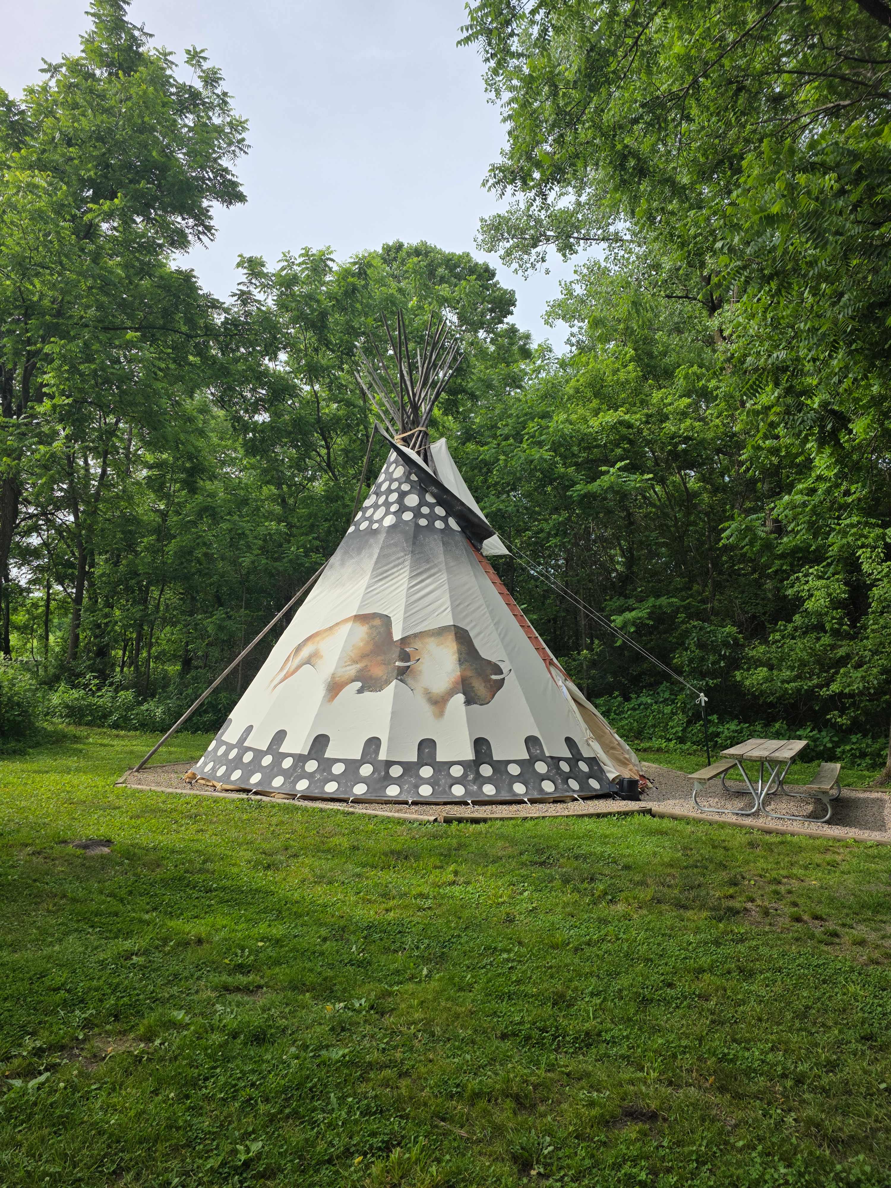 Cherokee Valley Bison Ranch Creekside Retreat