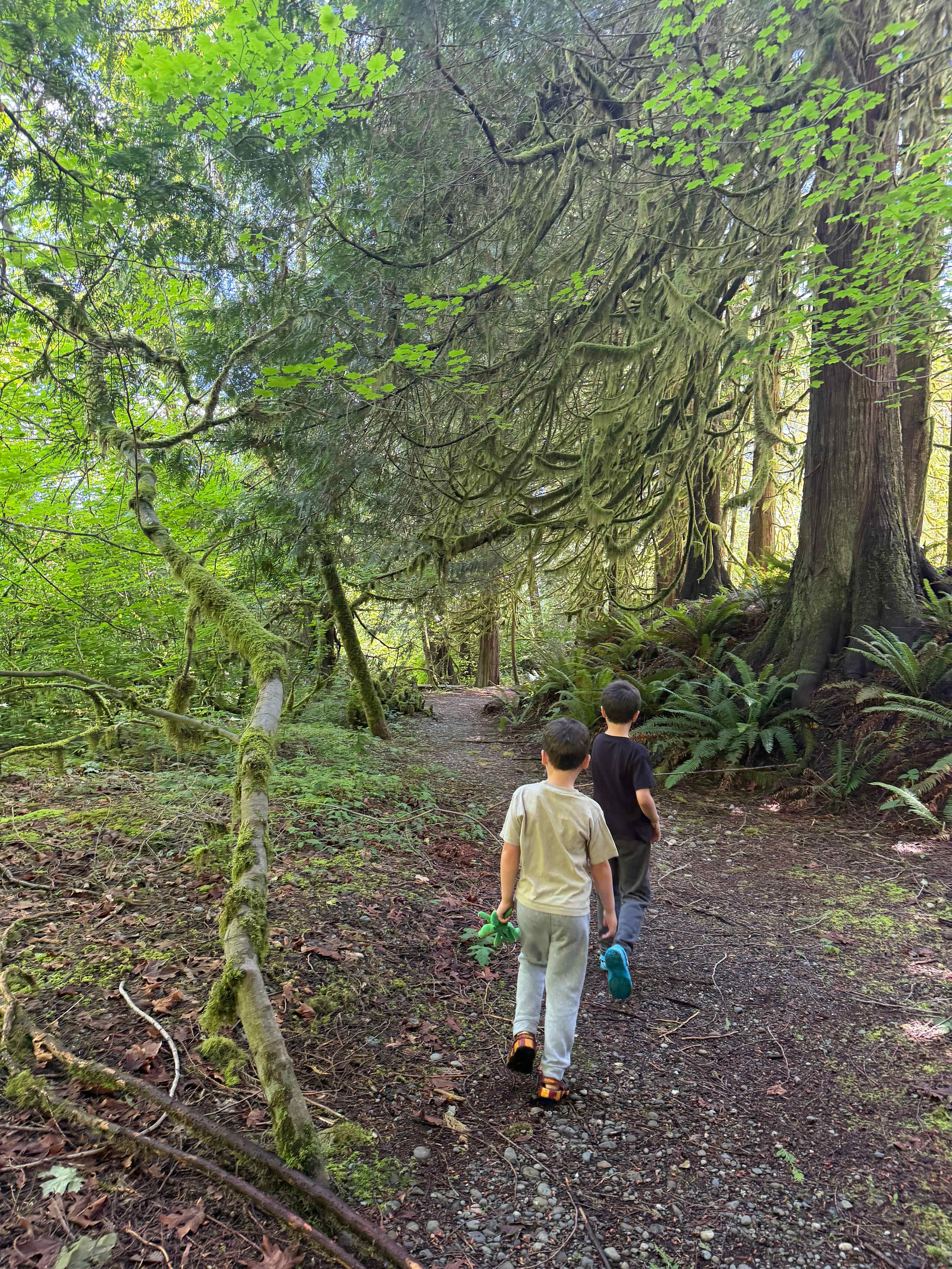 The Glen - Olympic Peninsula RV