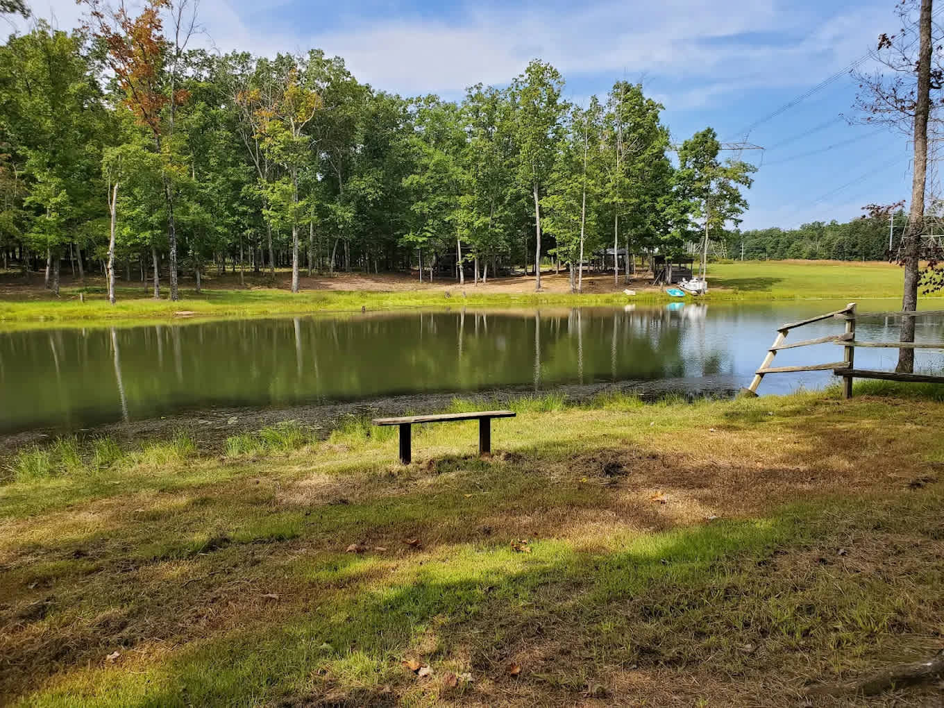 Picture of the site