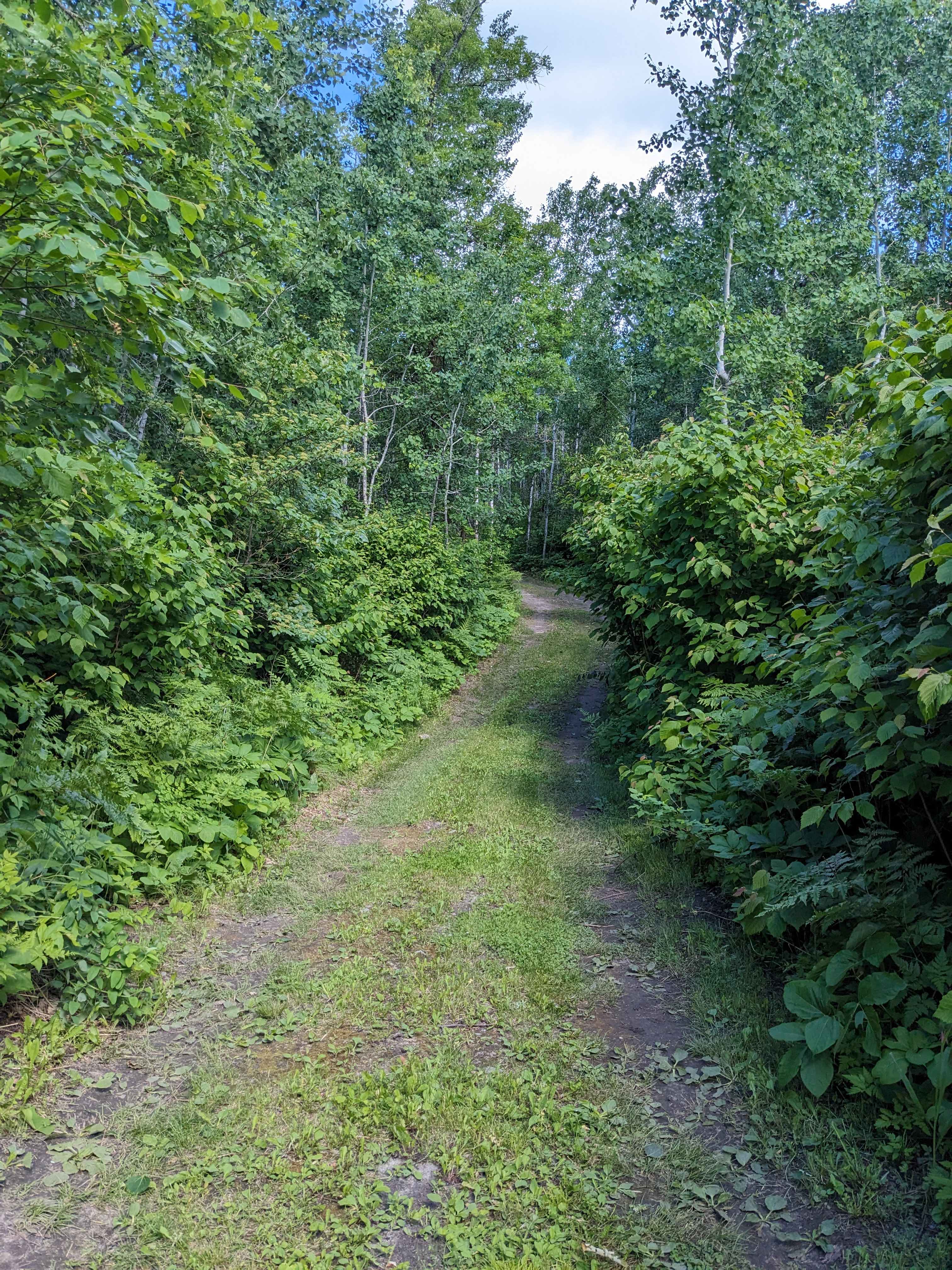 End of Entrance to campsite