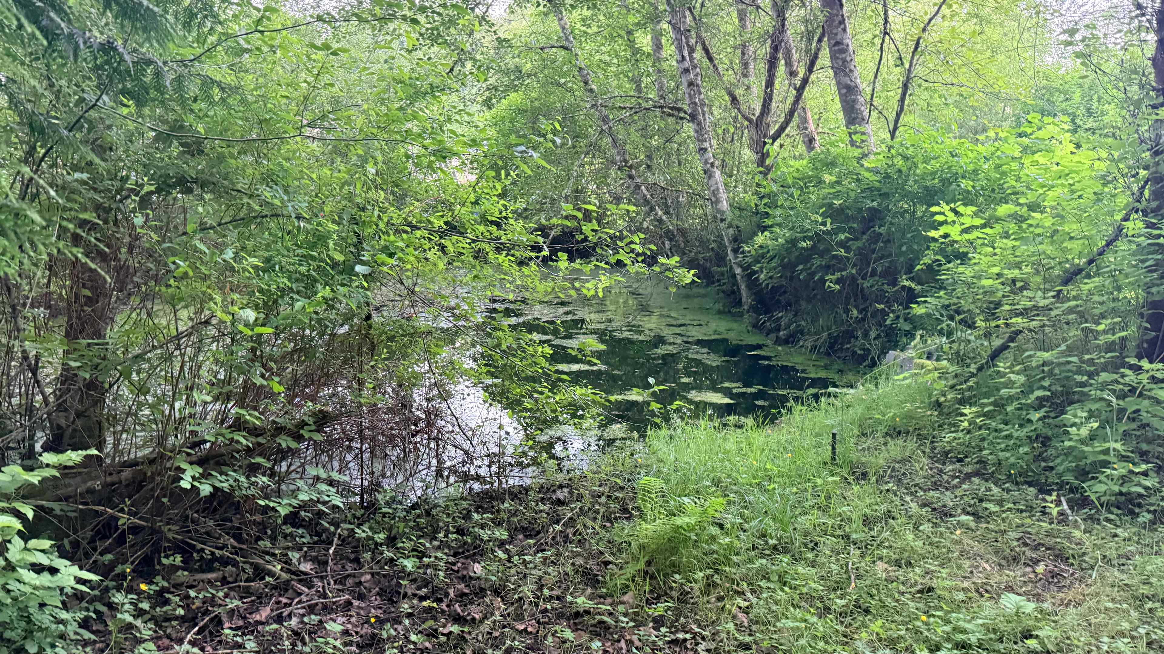 Lookout Arts Quarry Campground