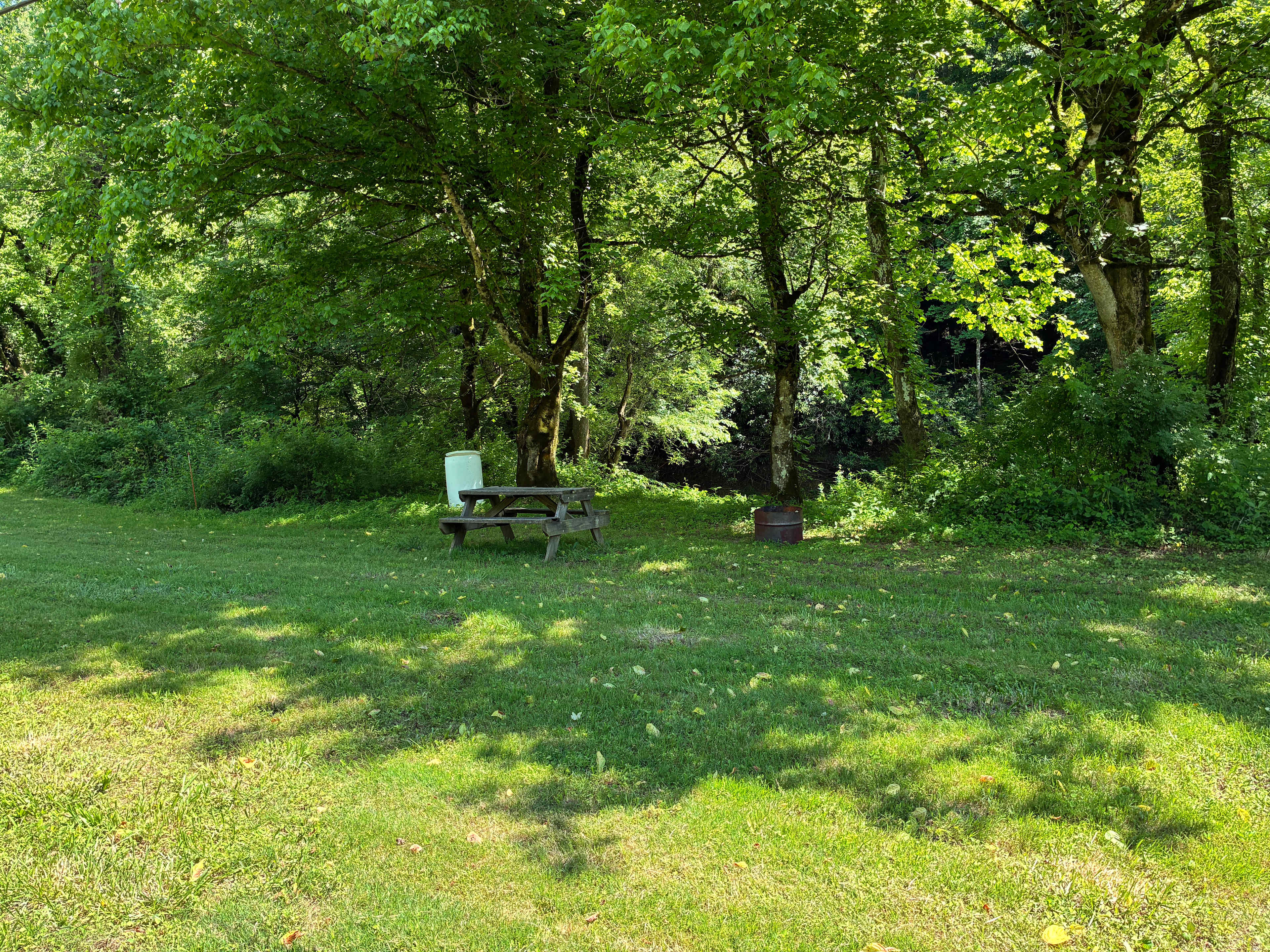Picture of the site
