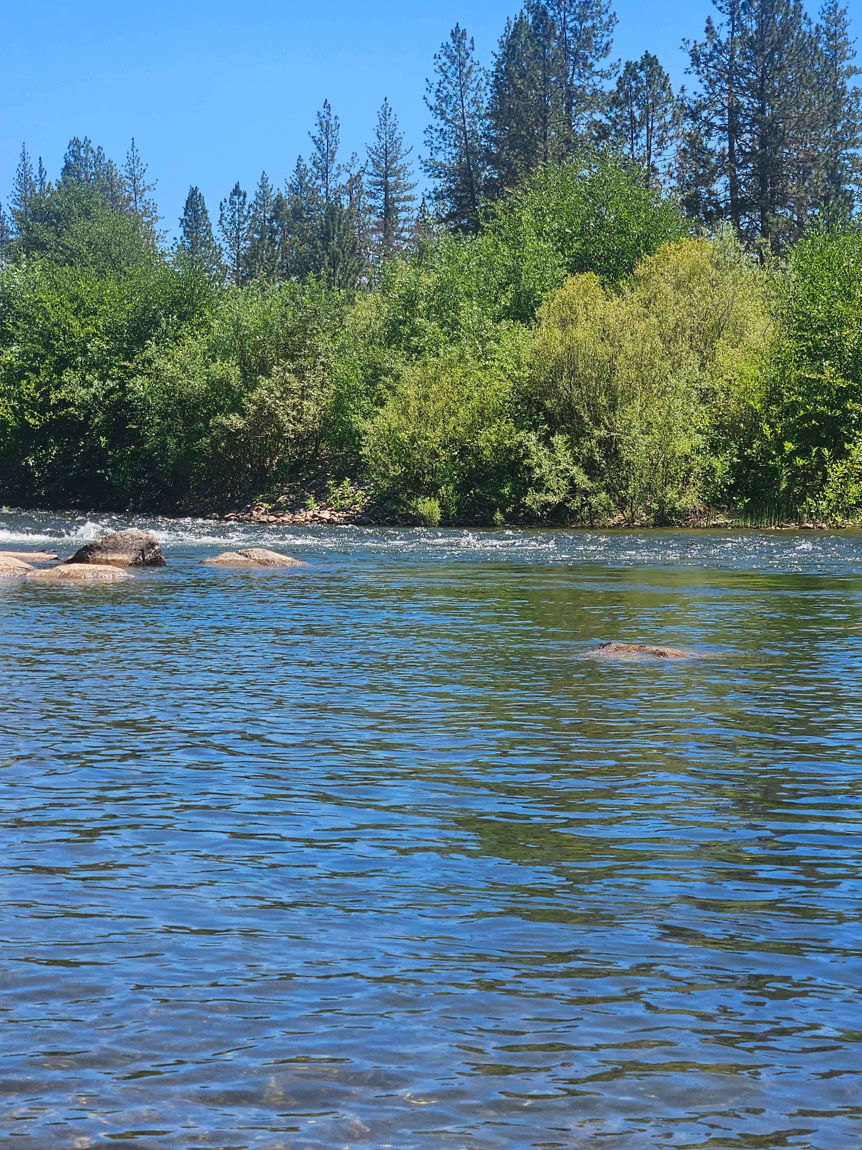 Manzanita Camping & Co