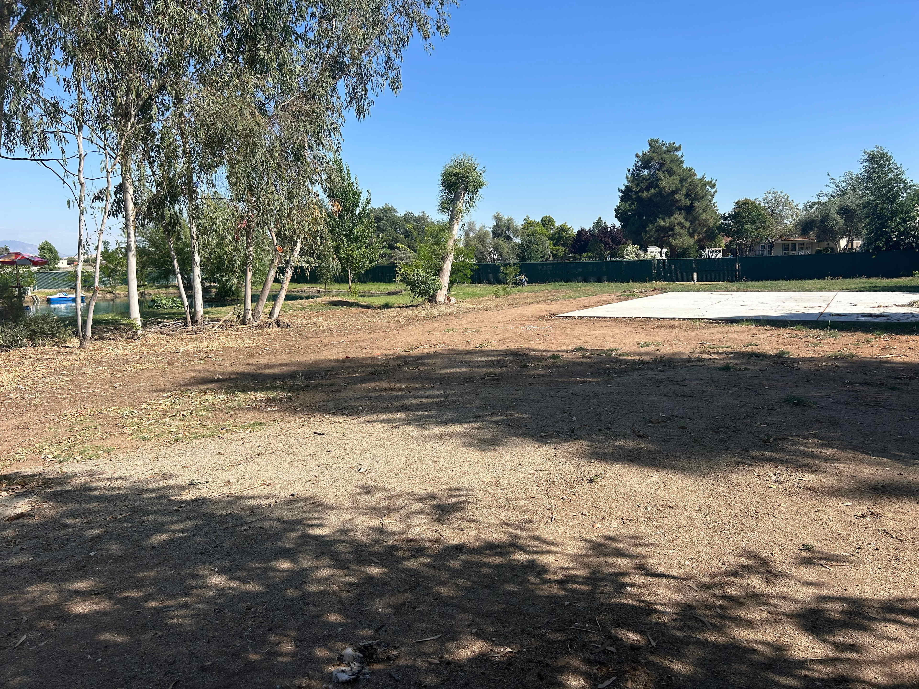 Picture of the site