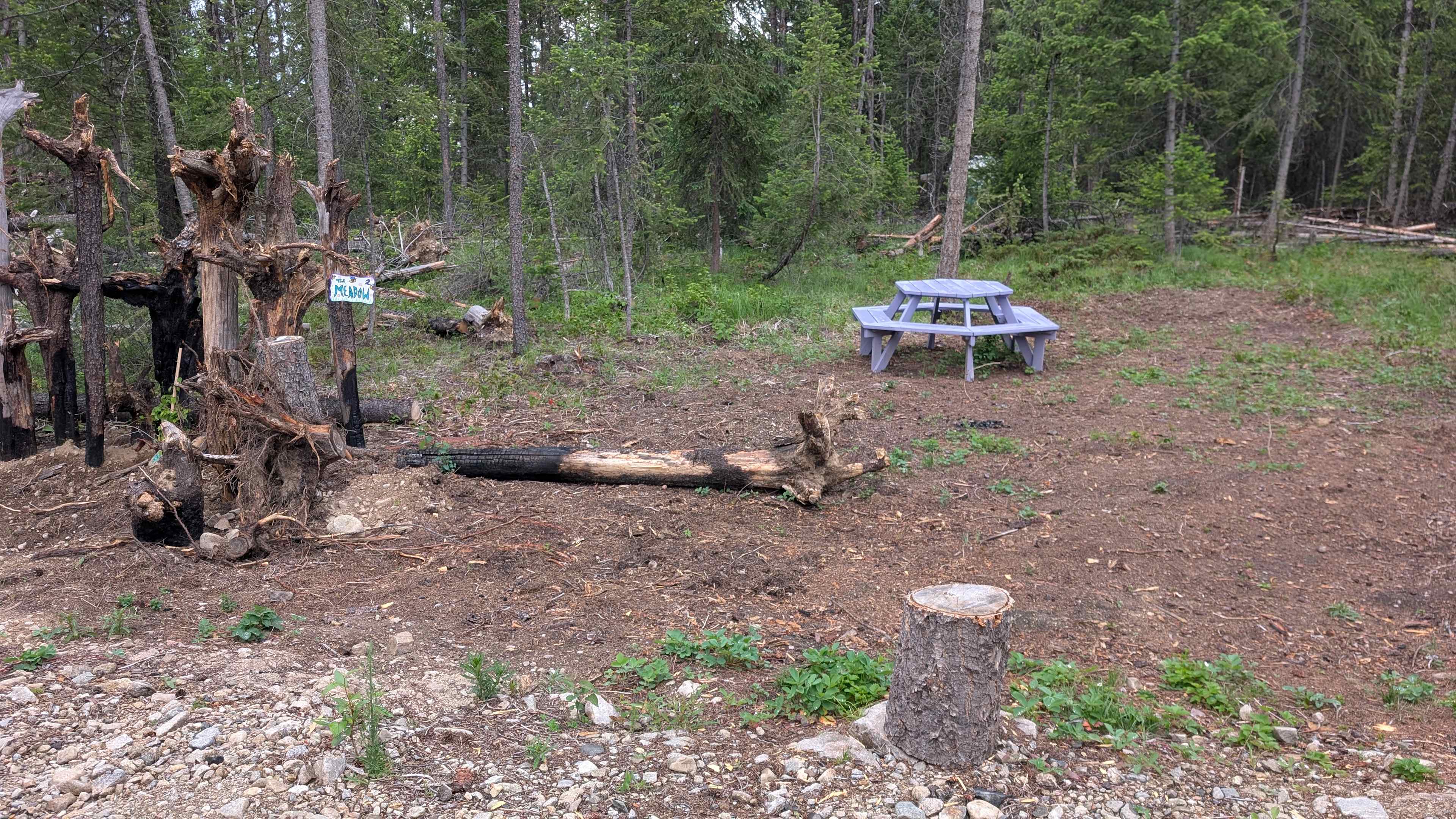 Picture of the site