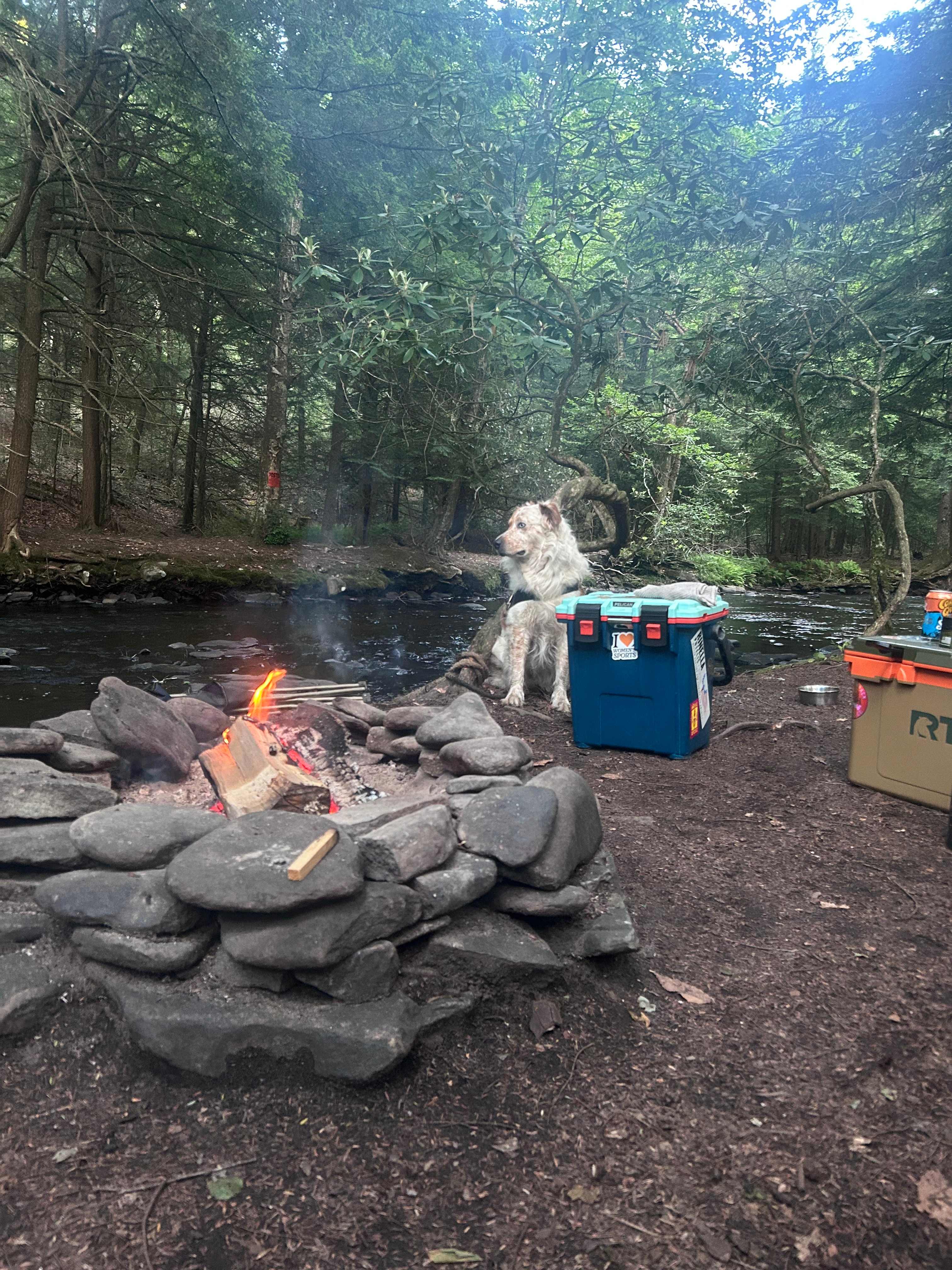 Fire pit looking at the stream (South)