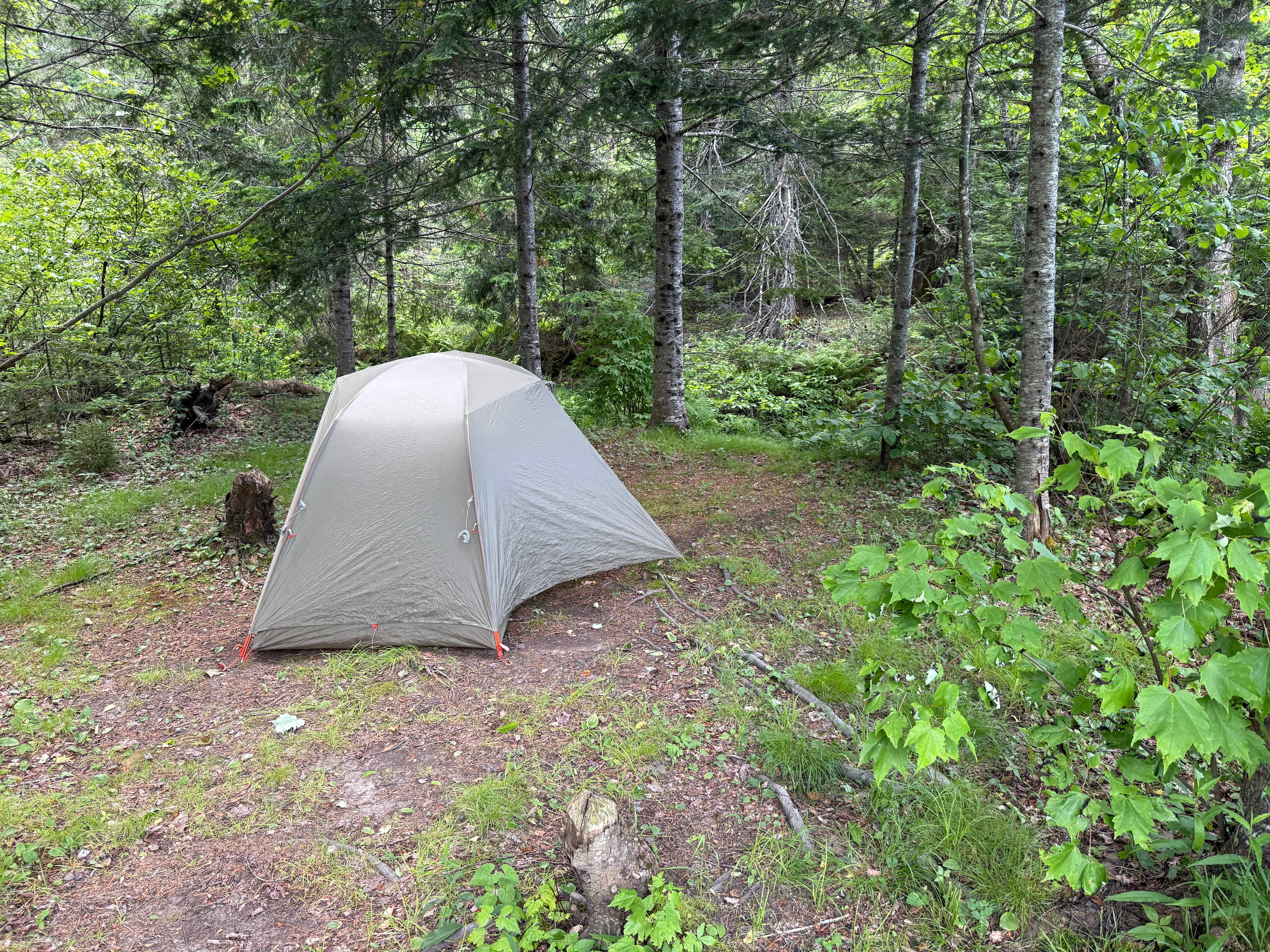 Robinson's Cottages Camping