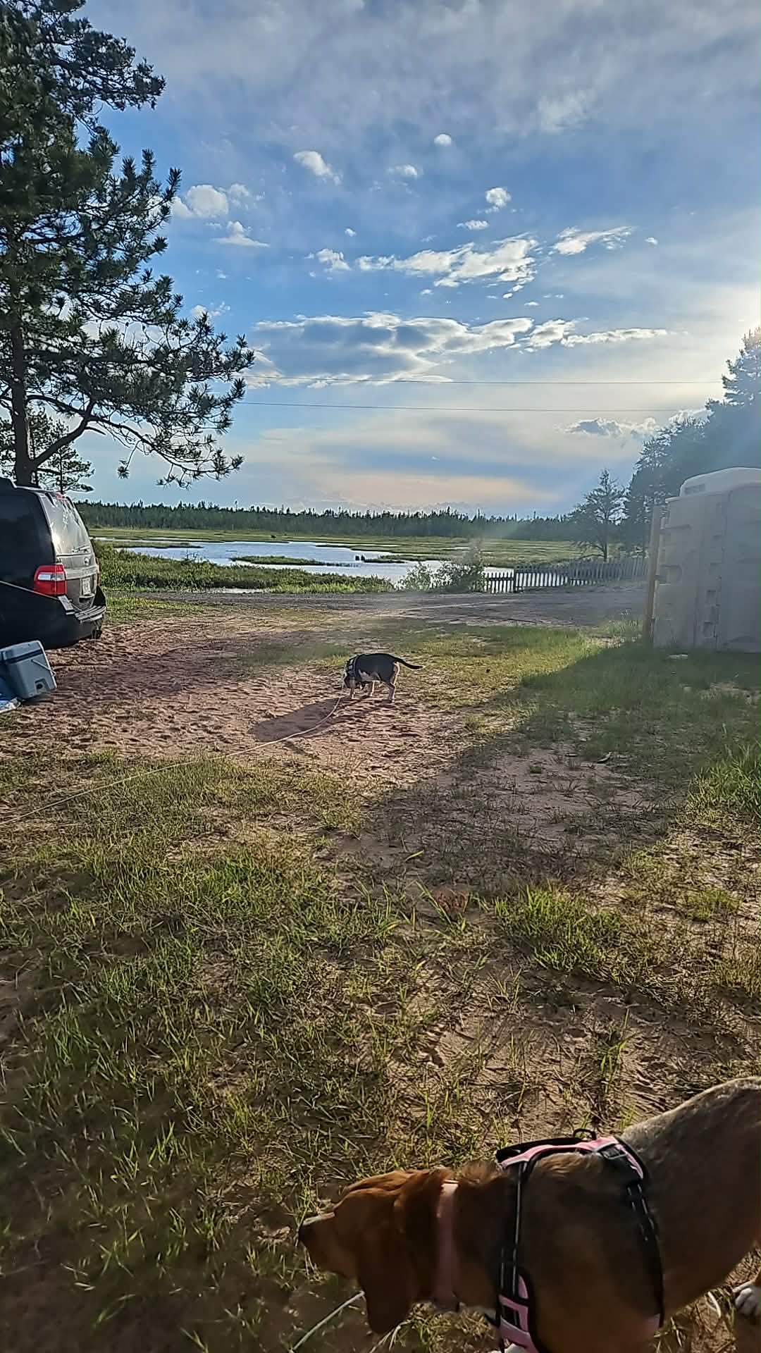 Lake Superior Beach Perfection