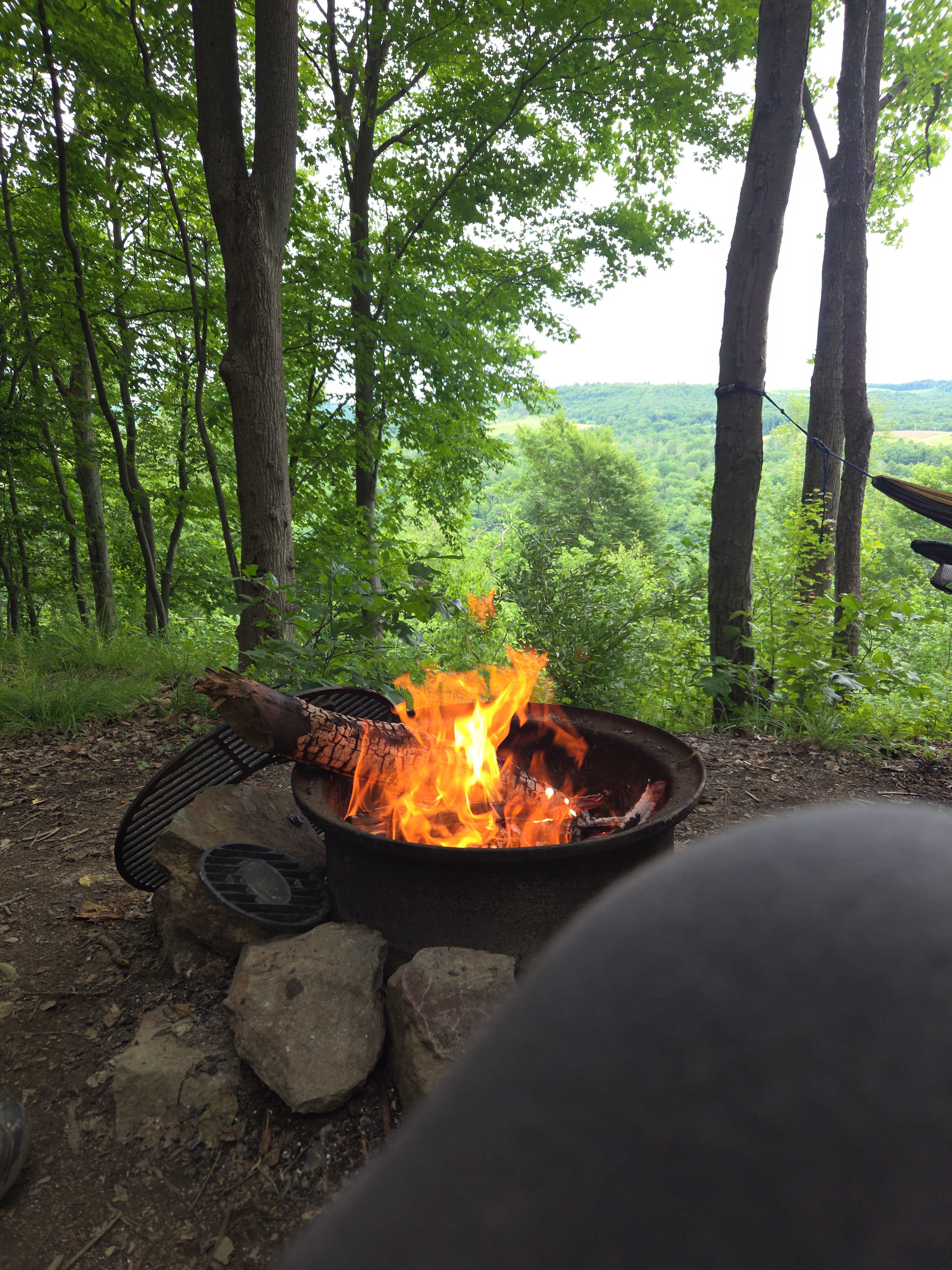 River Hills Above the Allegheny