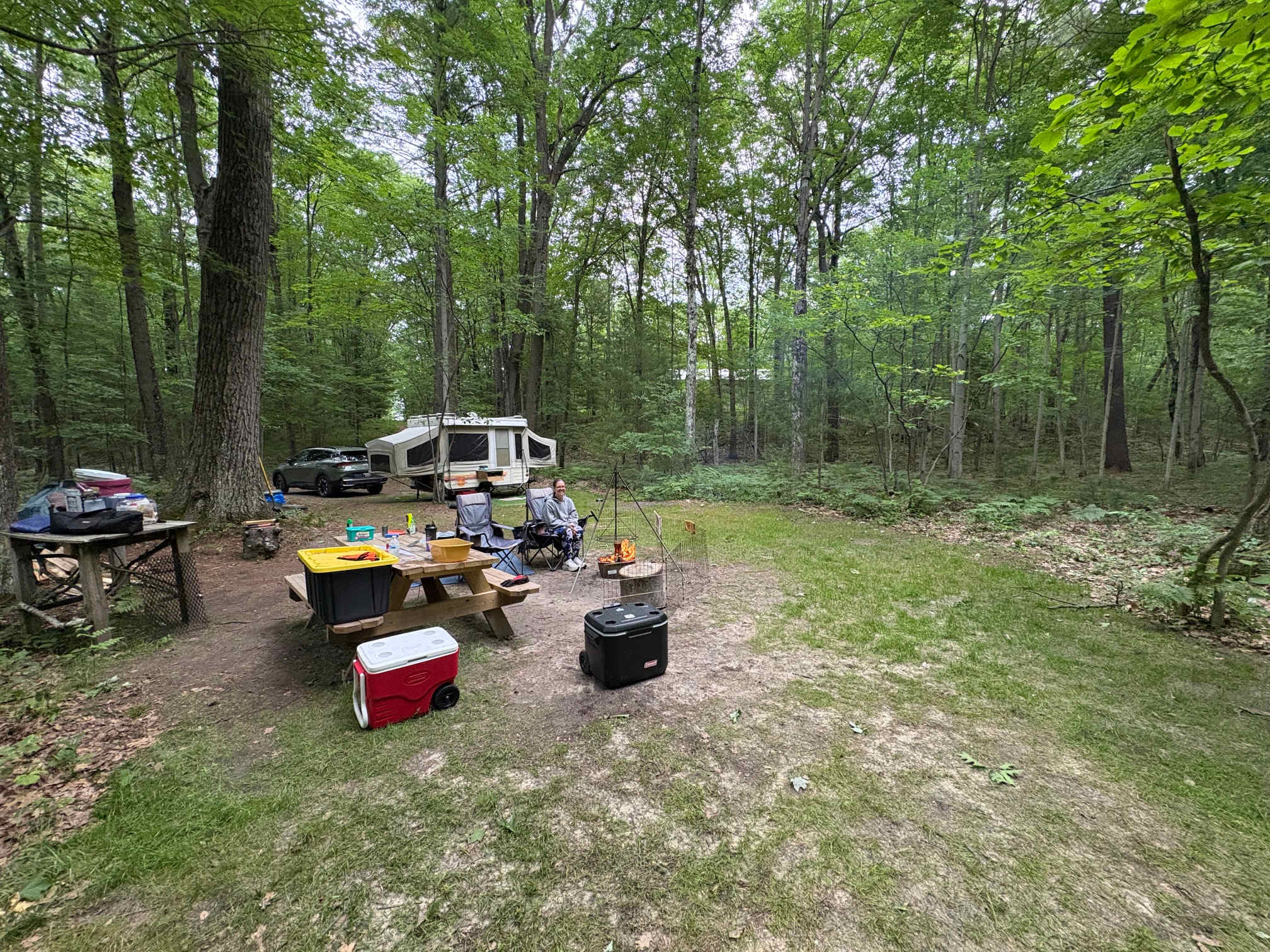 Birchbark Campsite at Valley of the Giants Camp