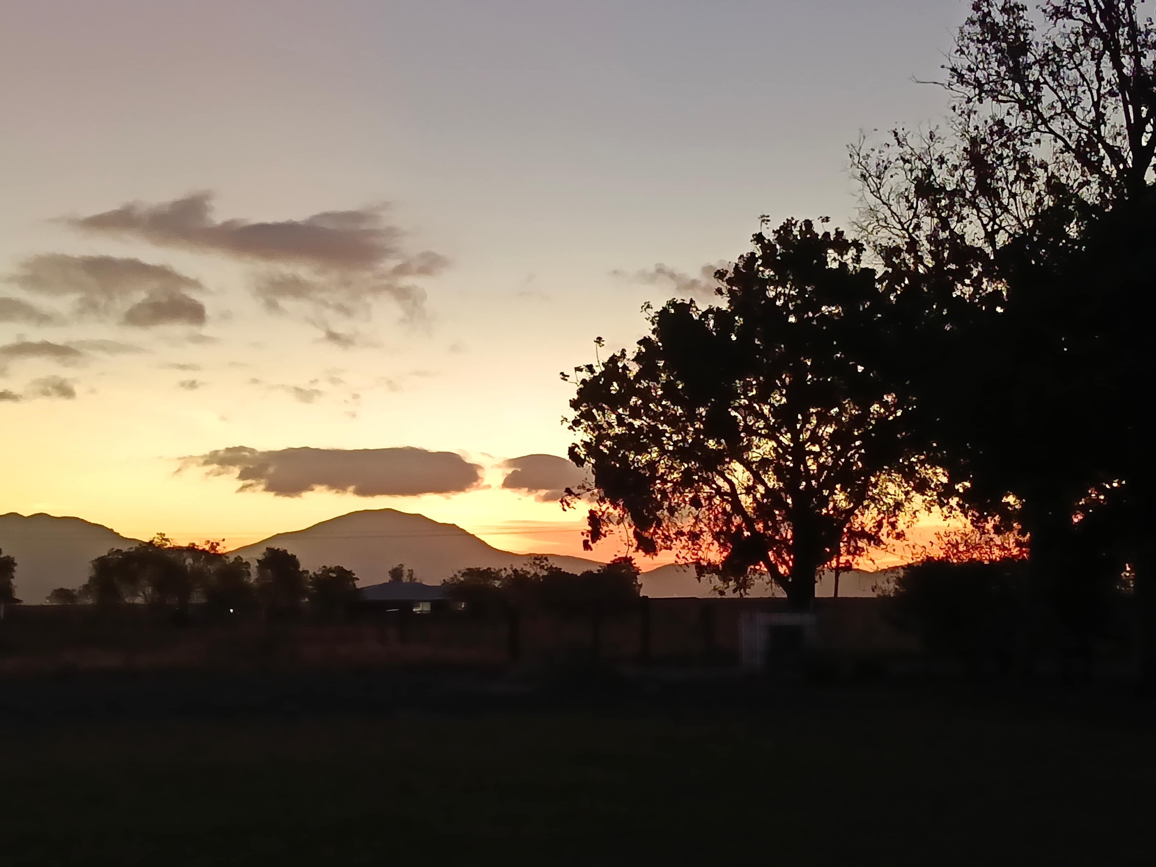 Jenkins Farm