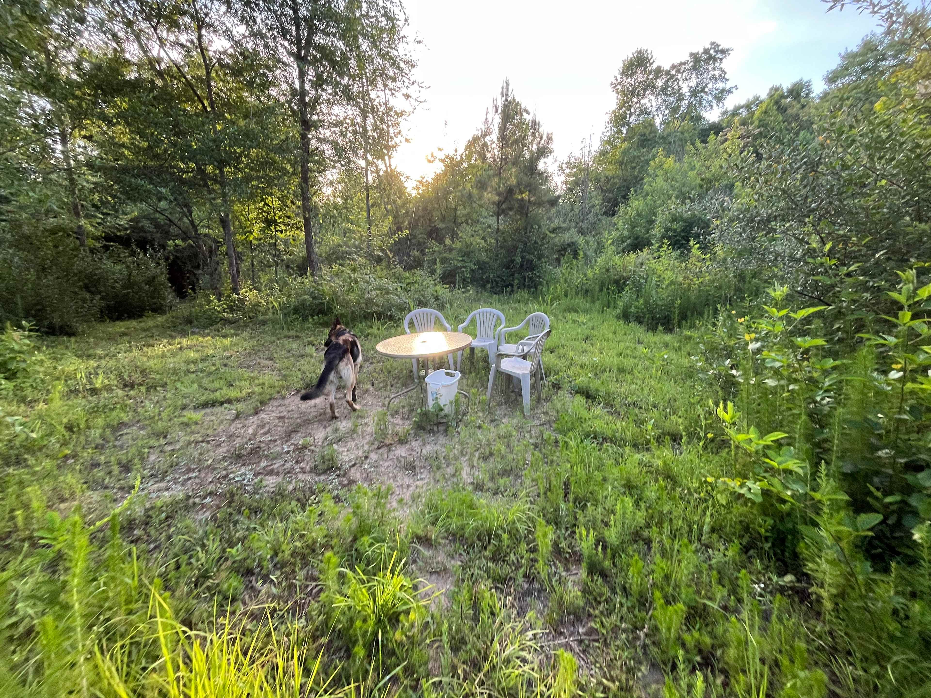 Picture of the site