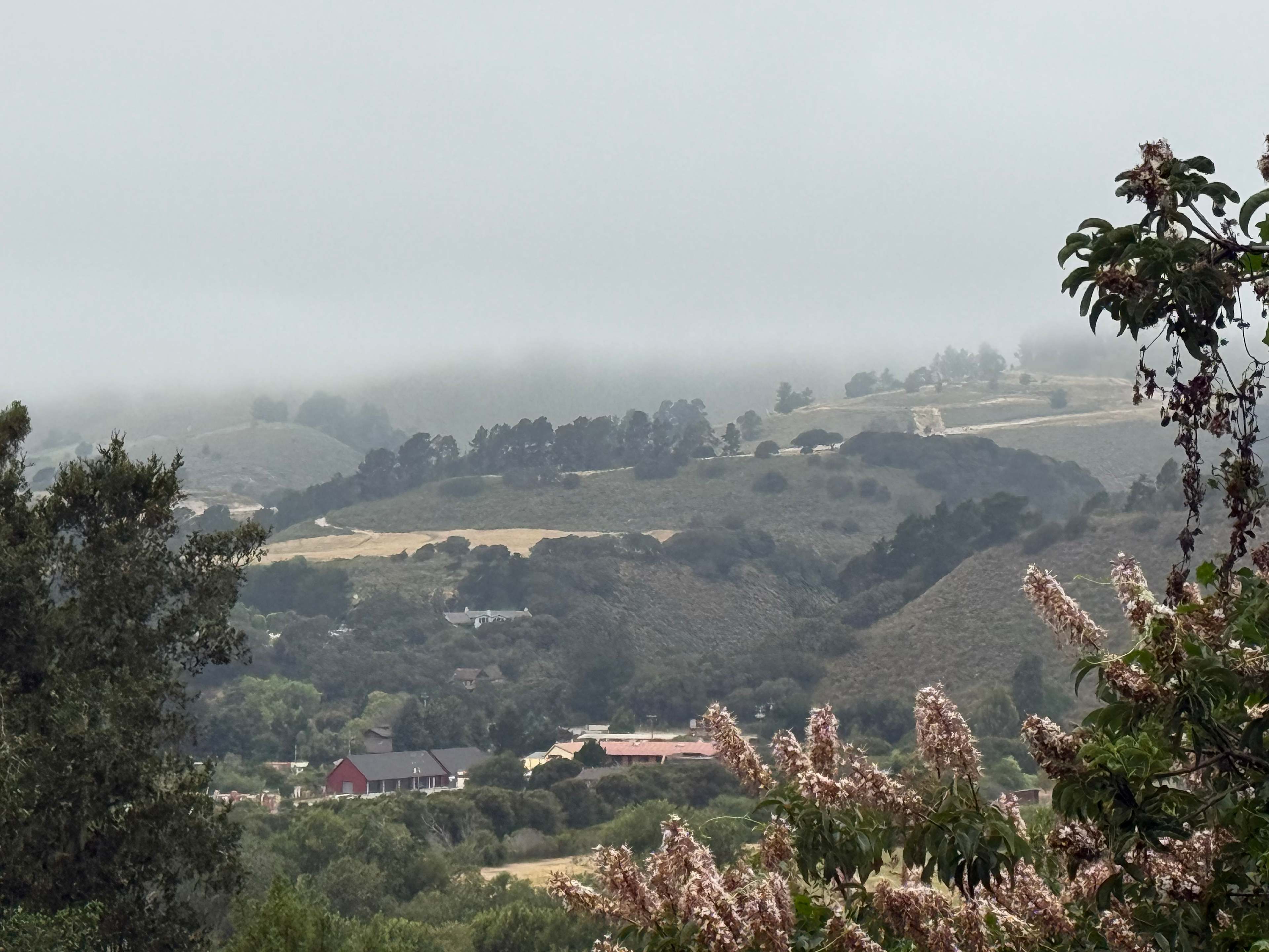 Saddle Mountain Carmel
