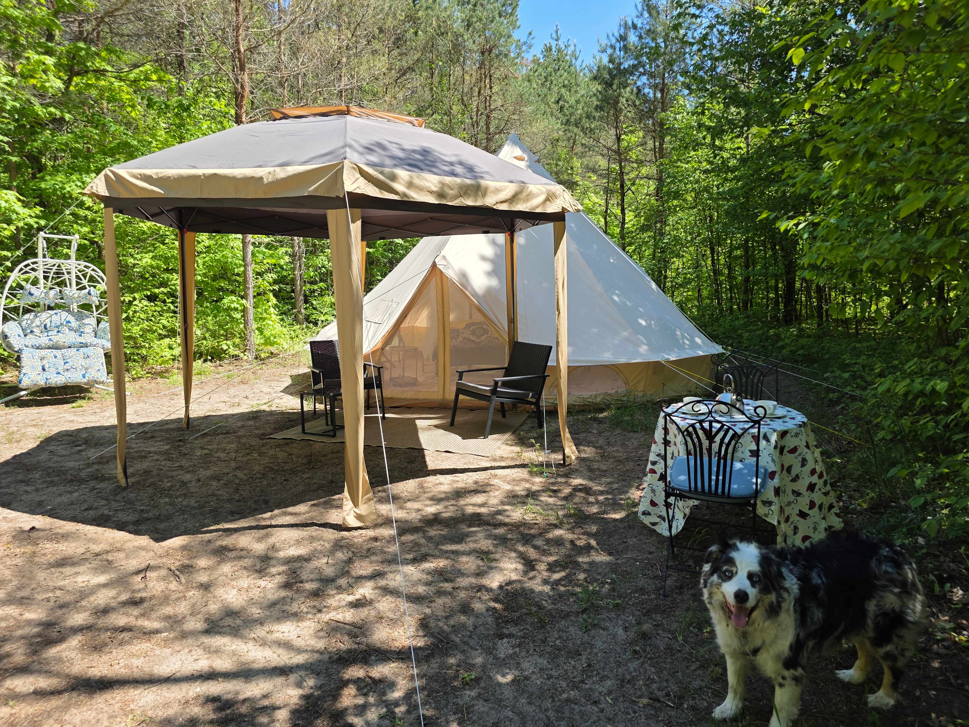 Picture of the site
