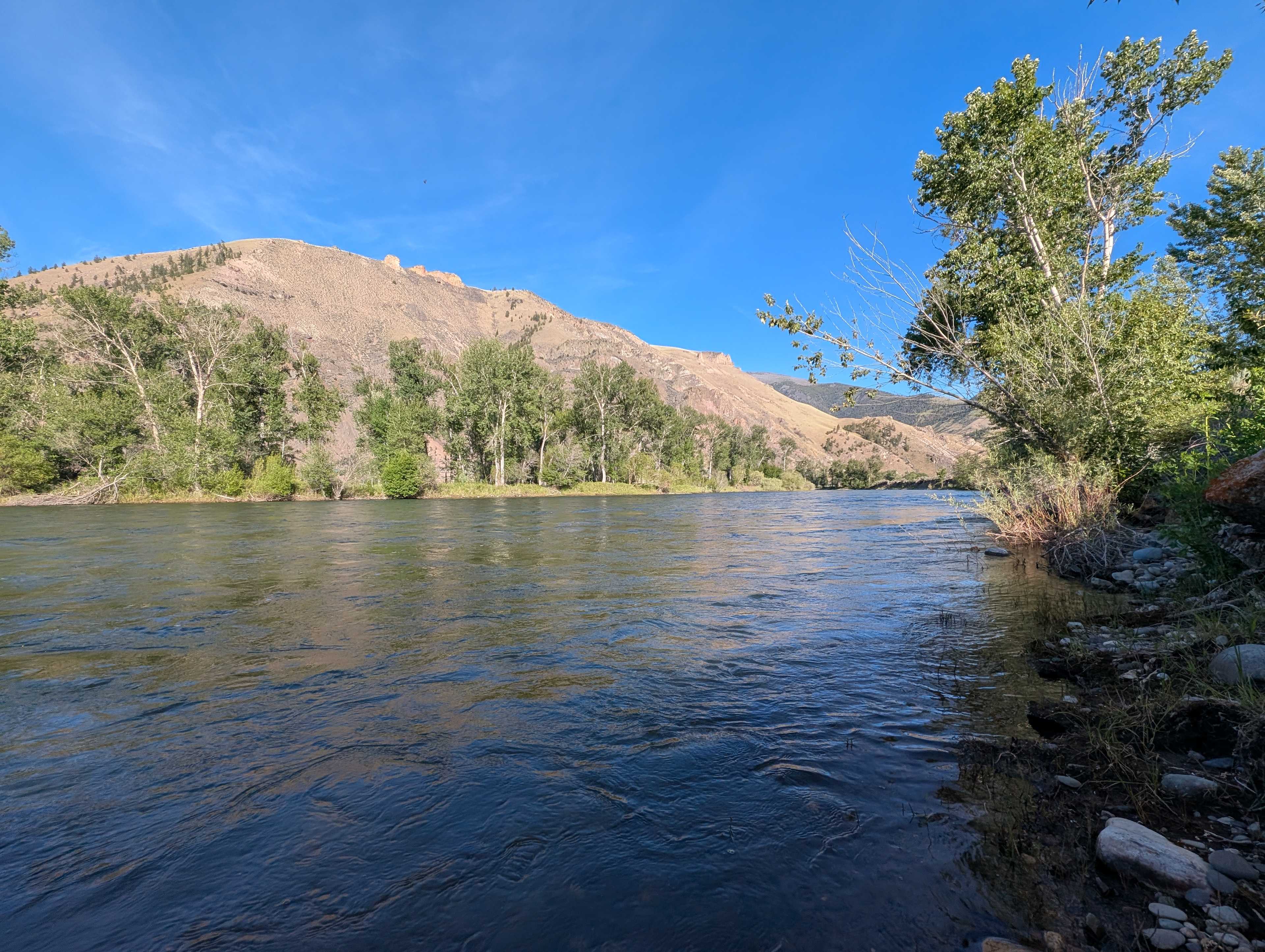 Cactus River Ranch RV