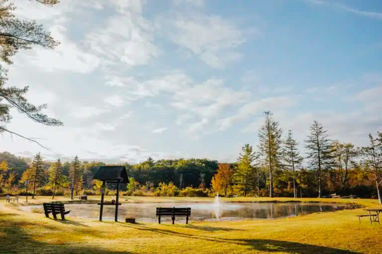 Picture of the site