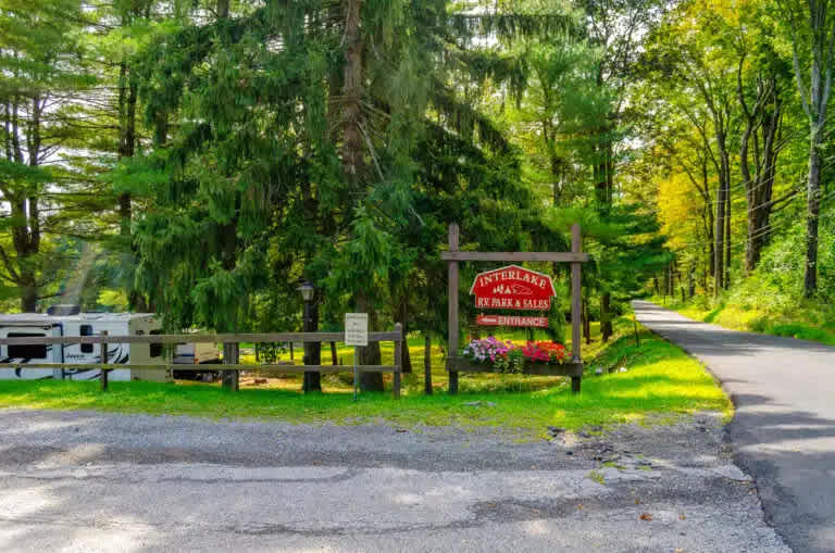 Picture of the site