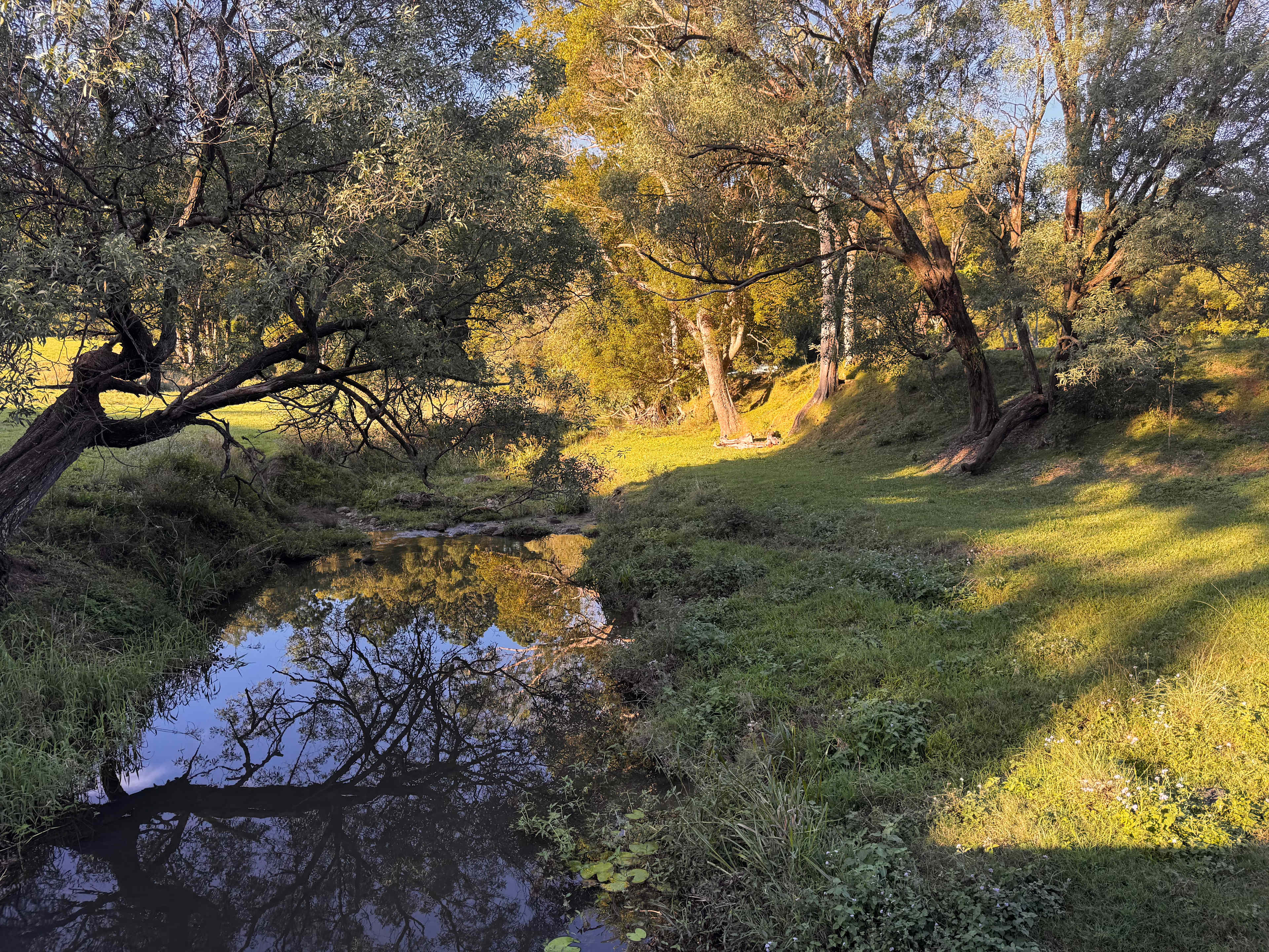 The gorgeous stream that ran all day & night 