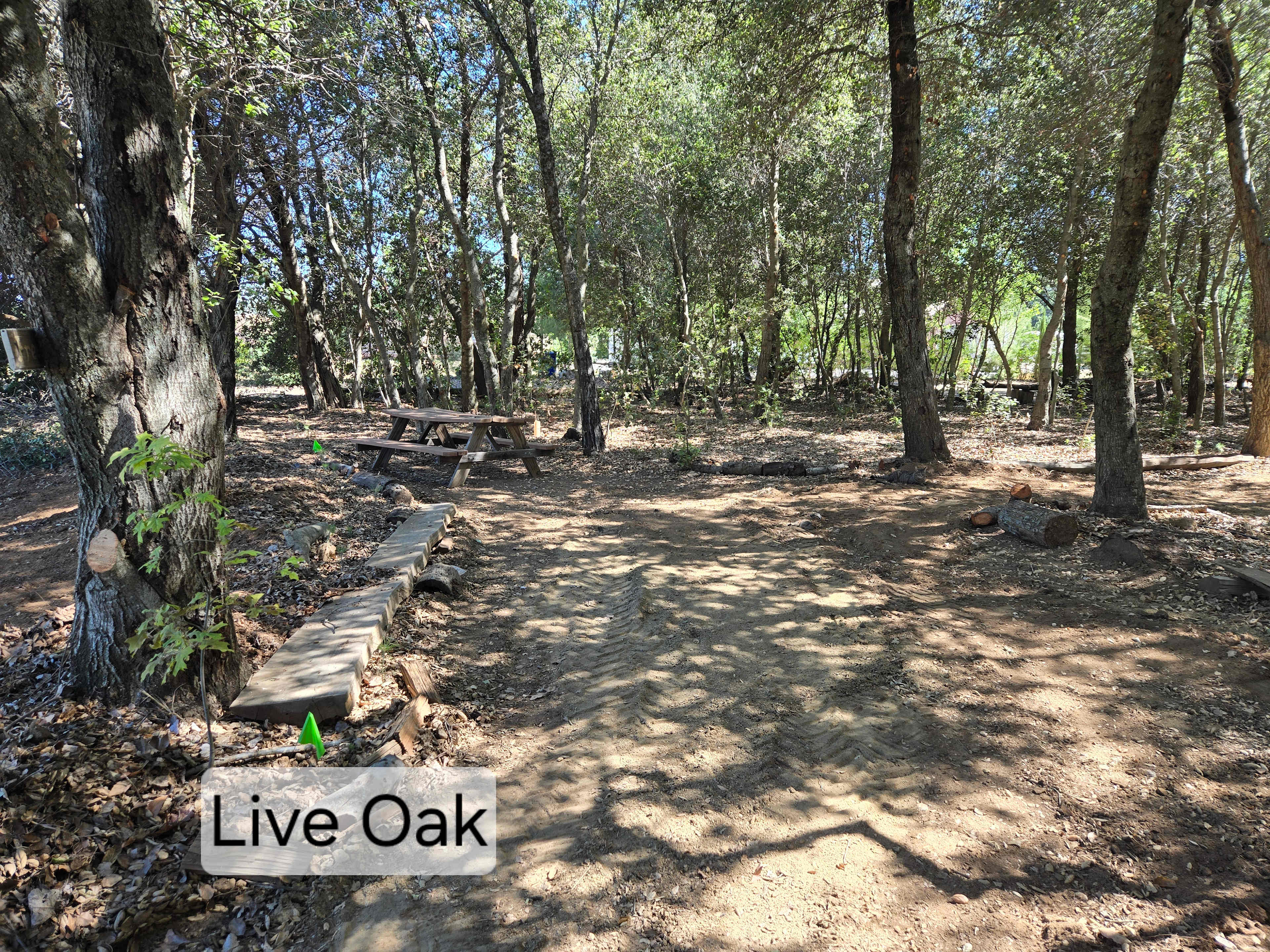 Picture of the site