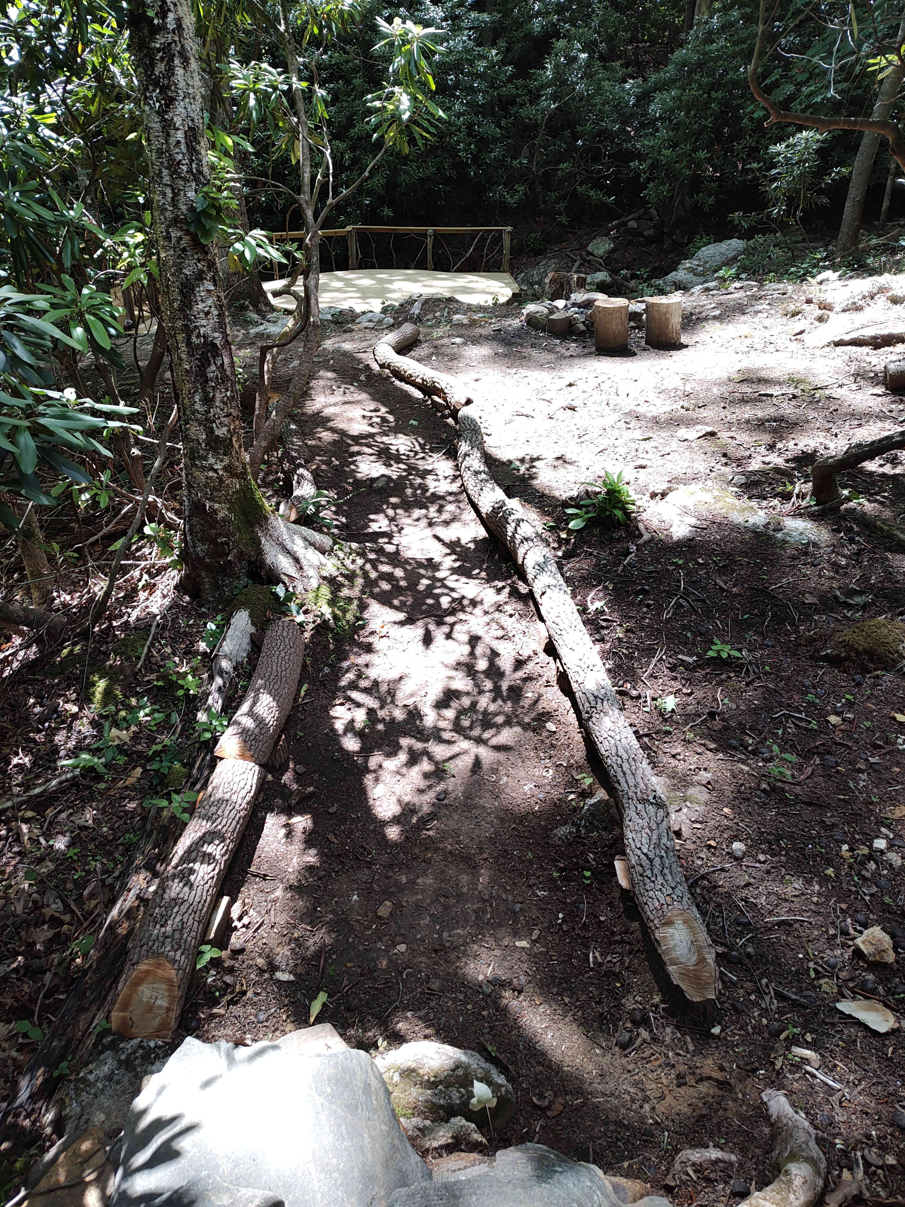 Picture of the site