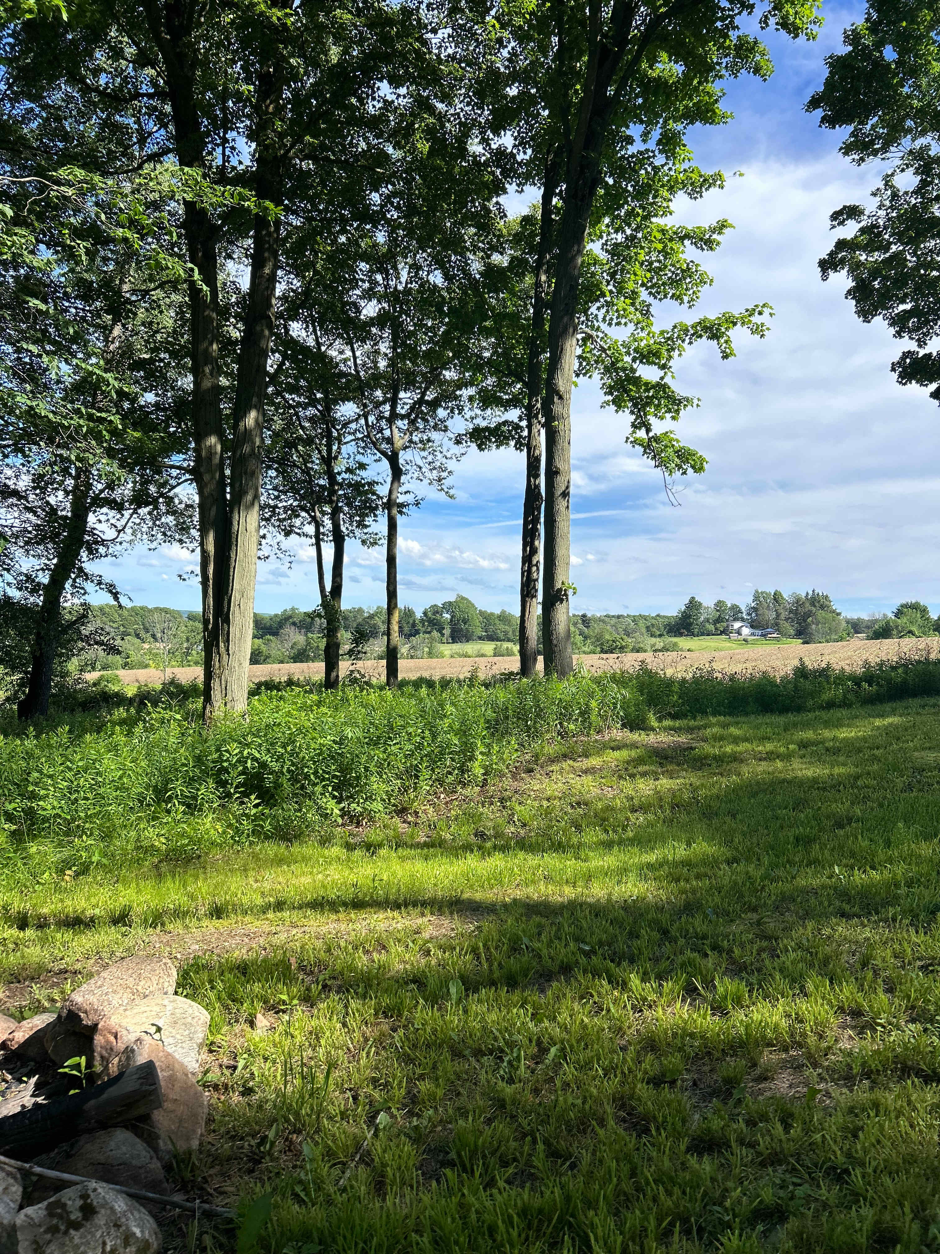 McCormick Farms Base Camp