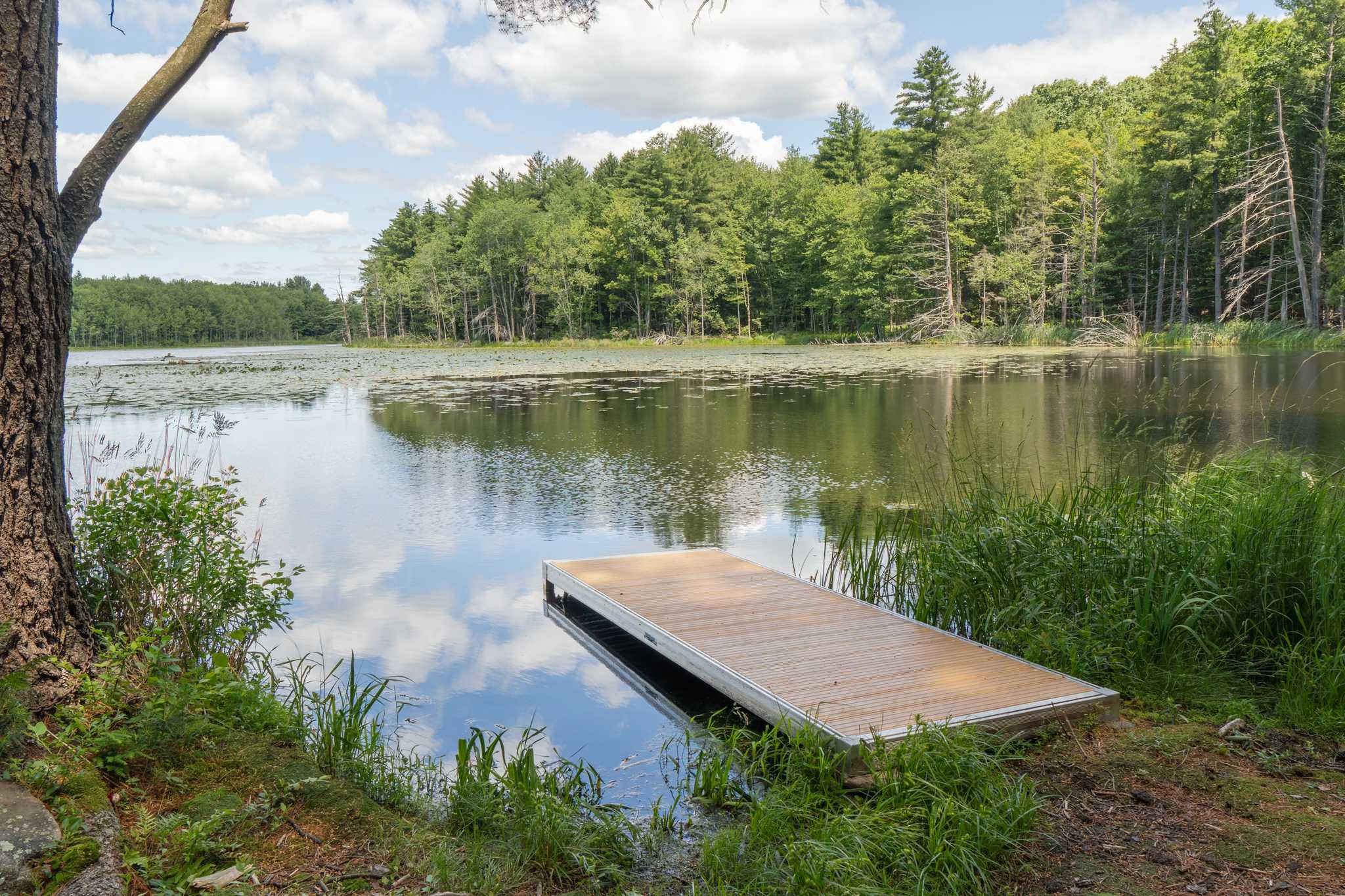 The Dam House At Beaver Pond