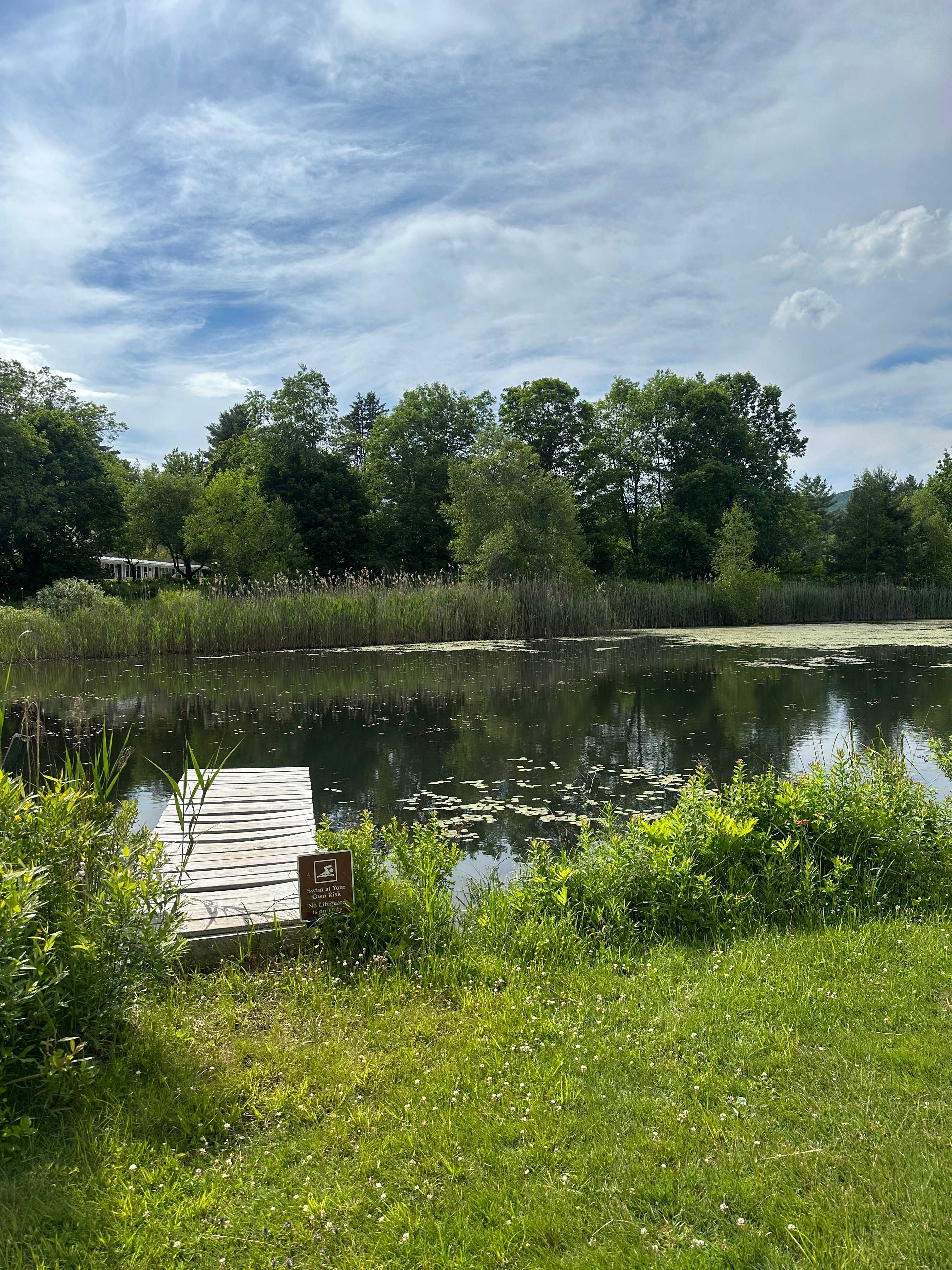 Gus's Gardens