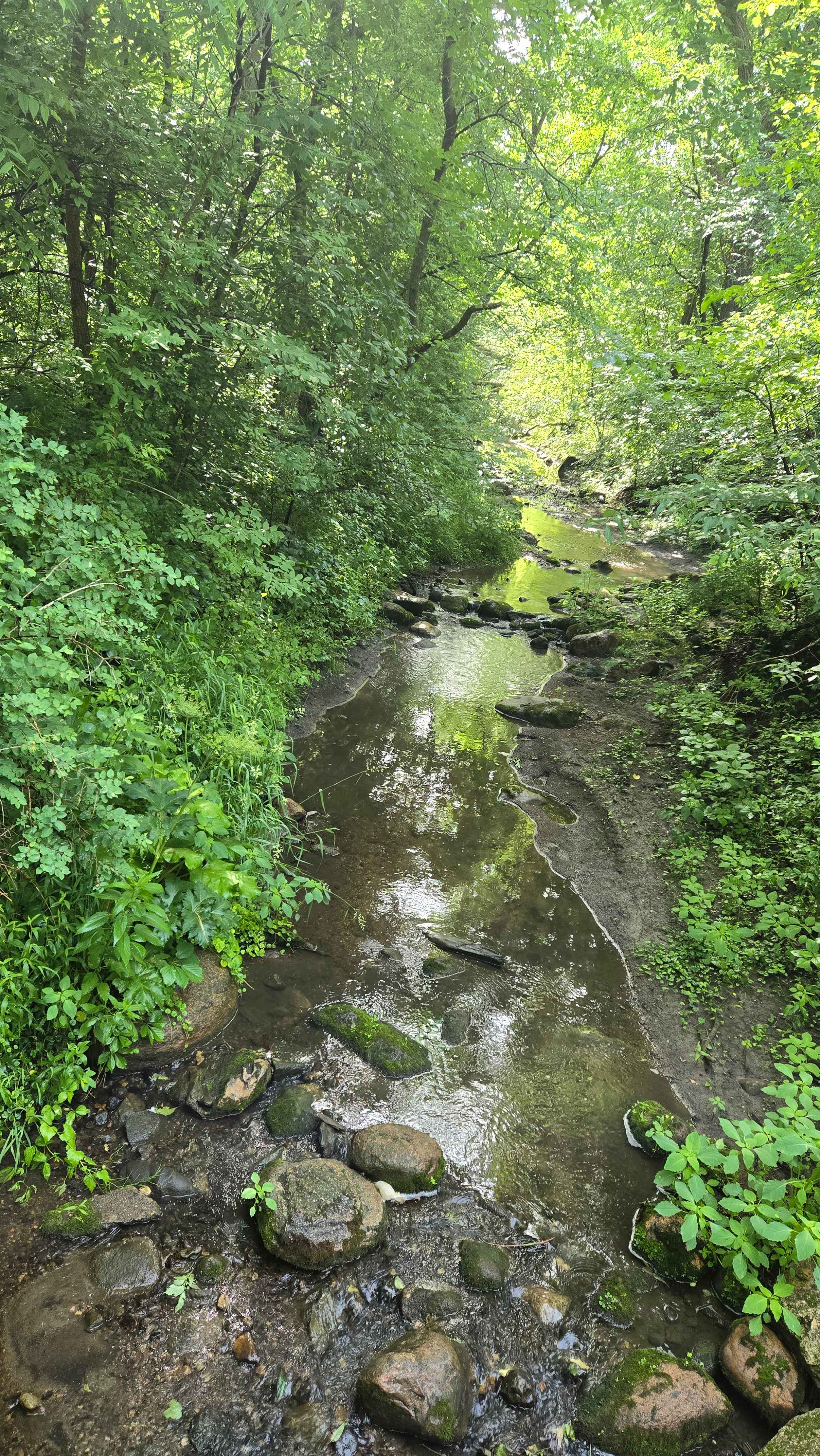 Prairie Creek Campground