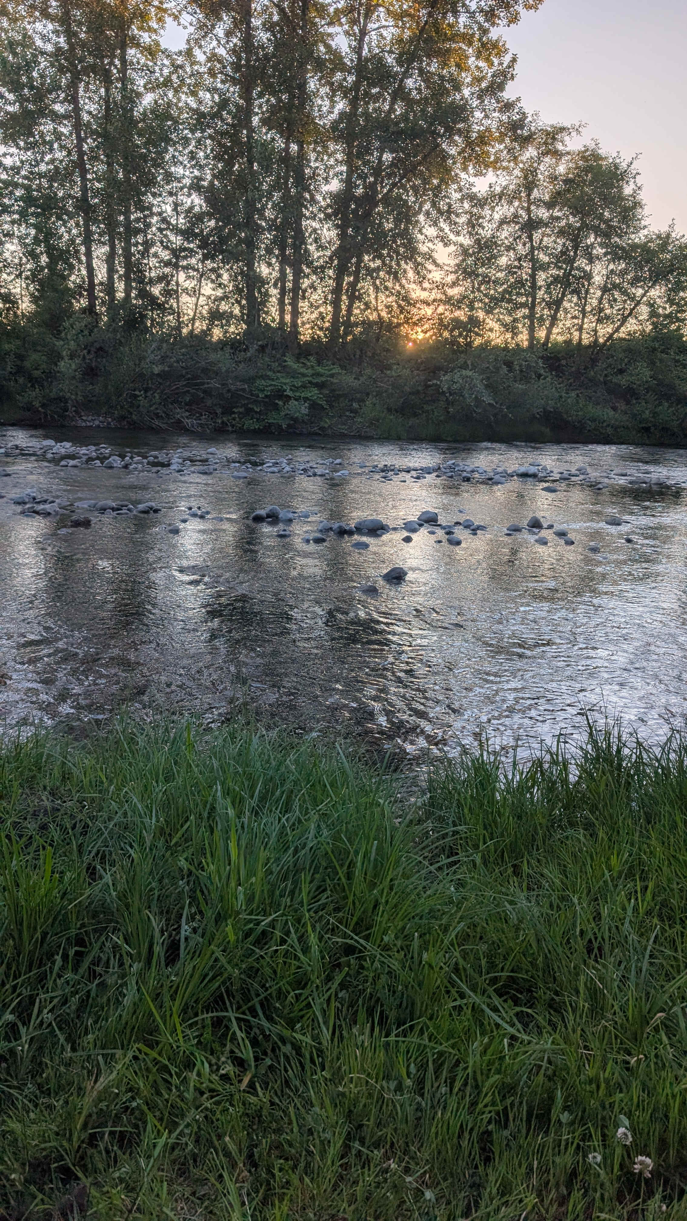 Molalla Ripple