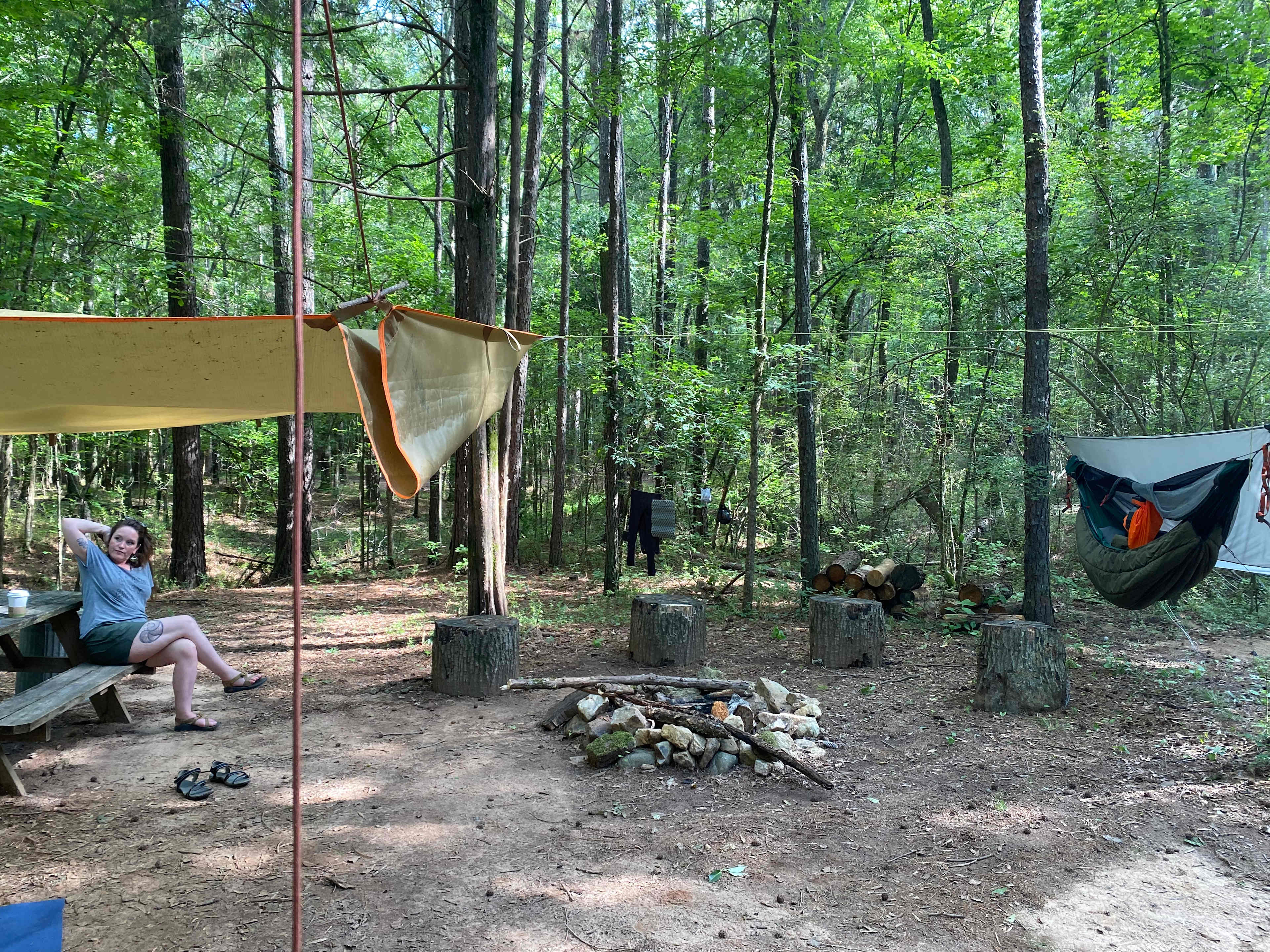 Picture of the site