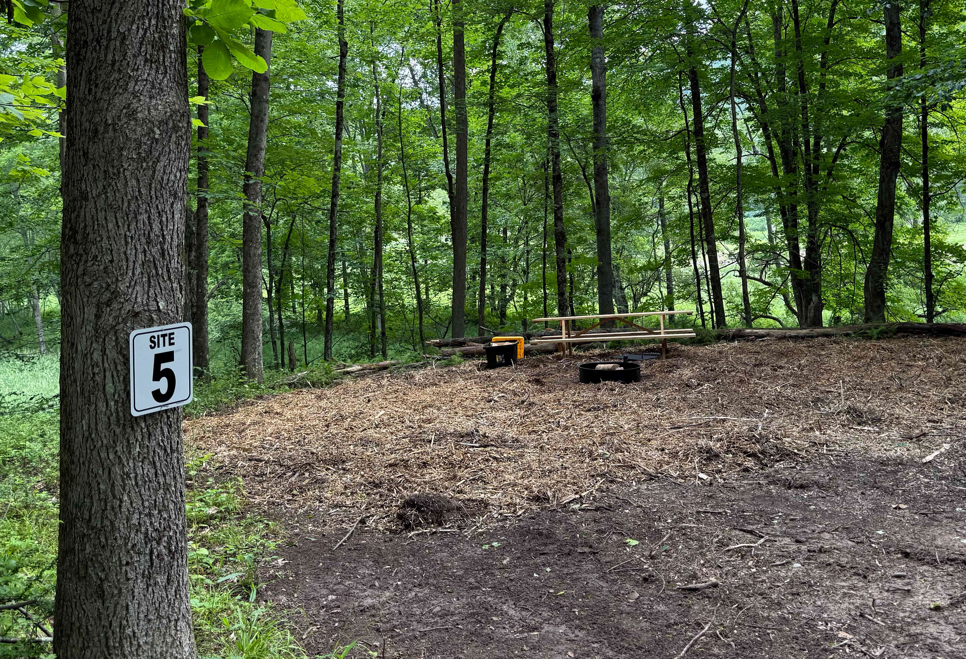 Picture of the site