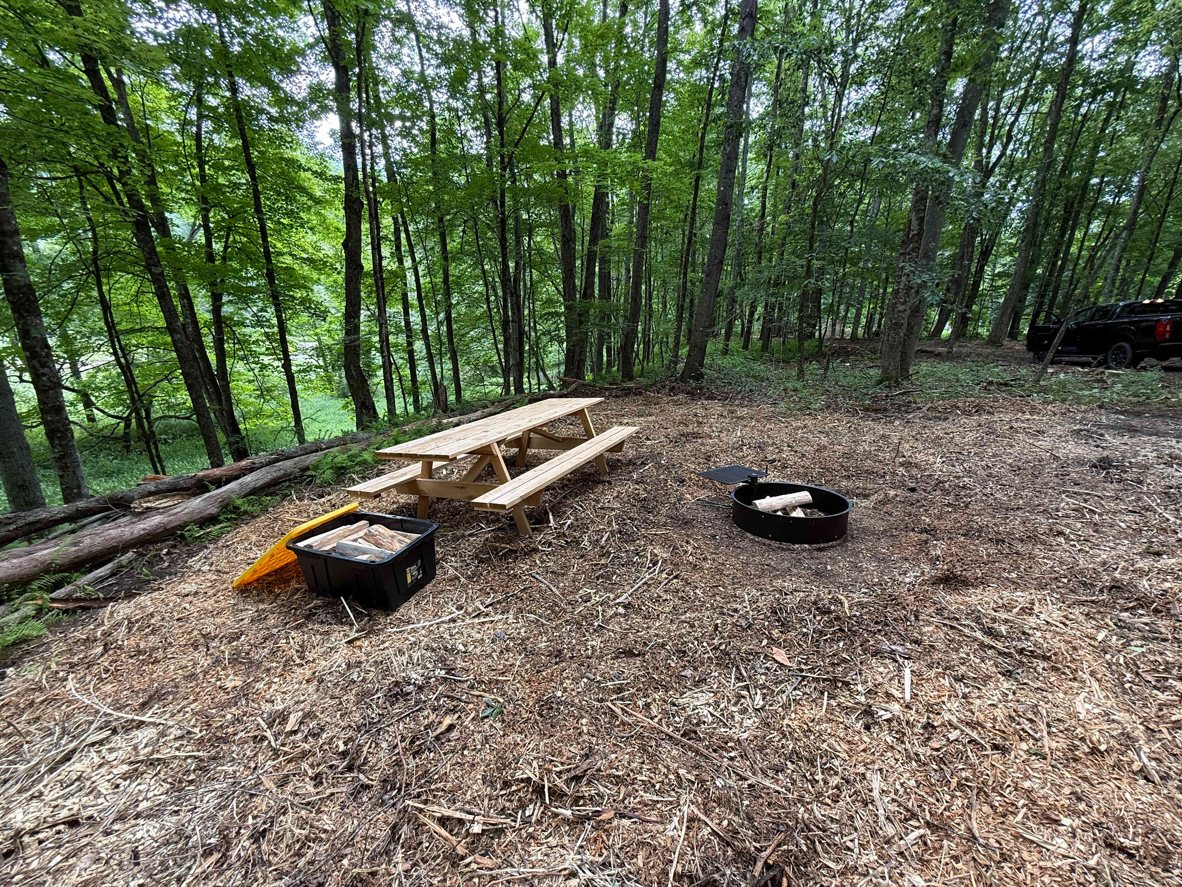 Picture of the site