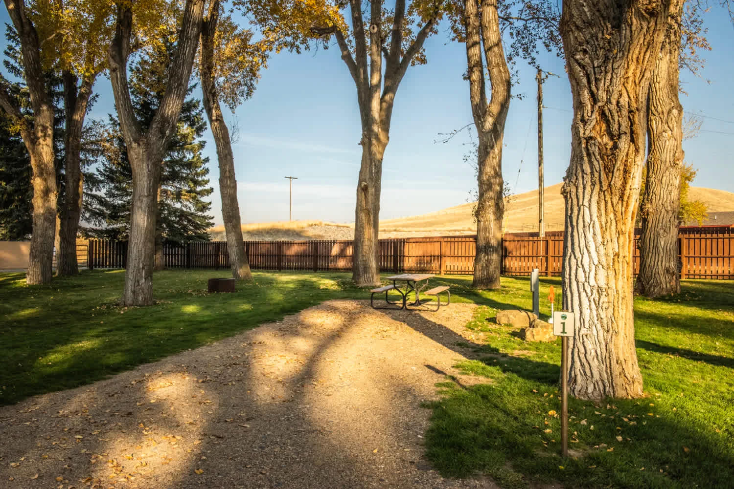 Picture of the site