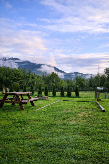 Picture of the site