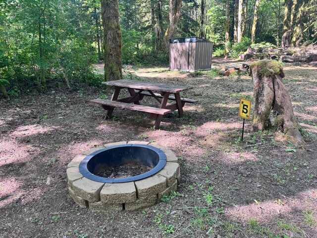 Picture of the site