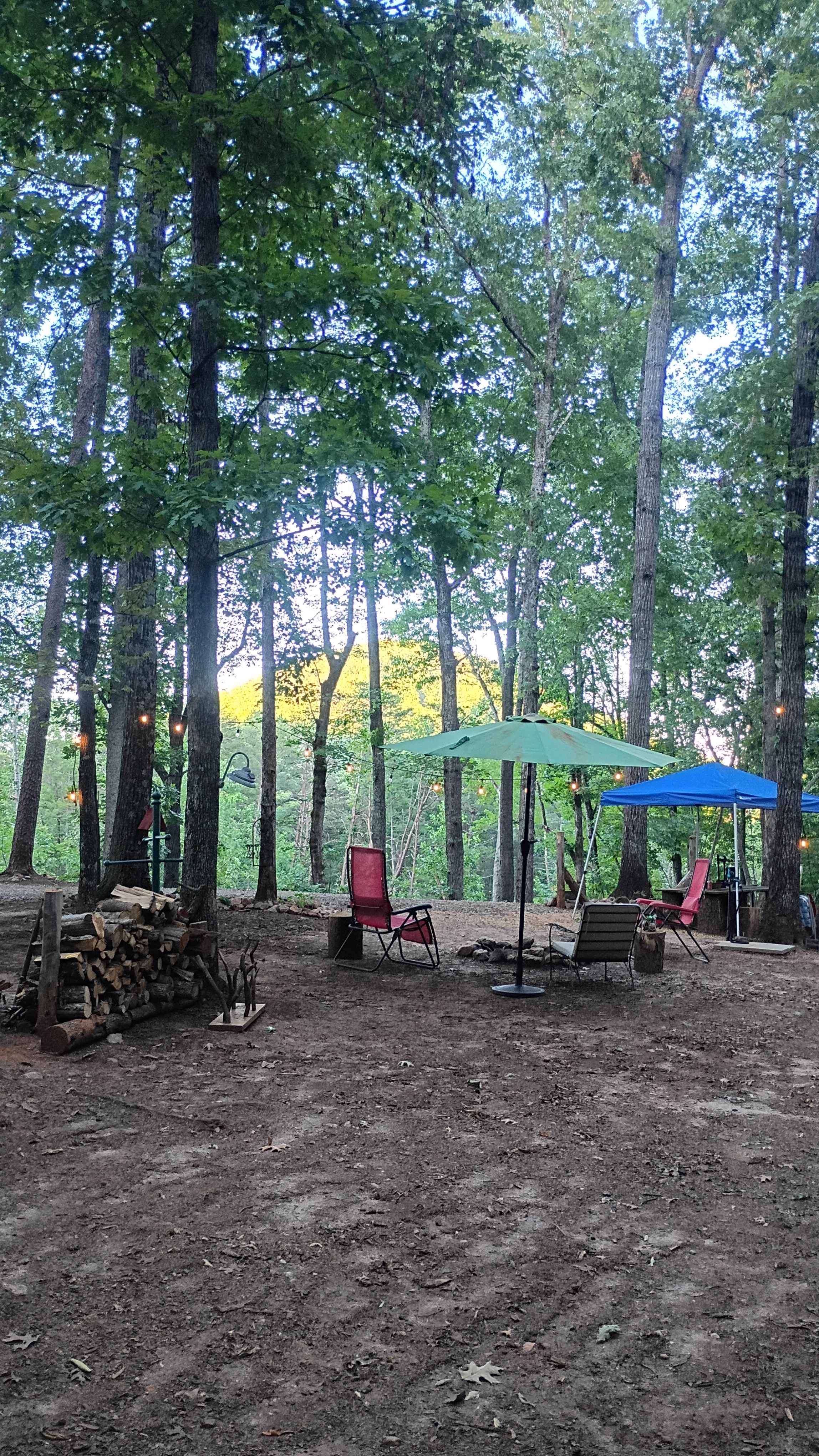 Picture of the site
