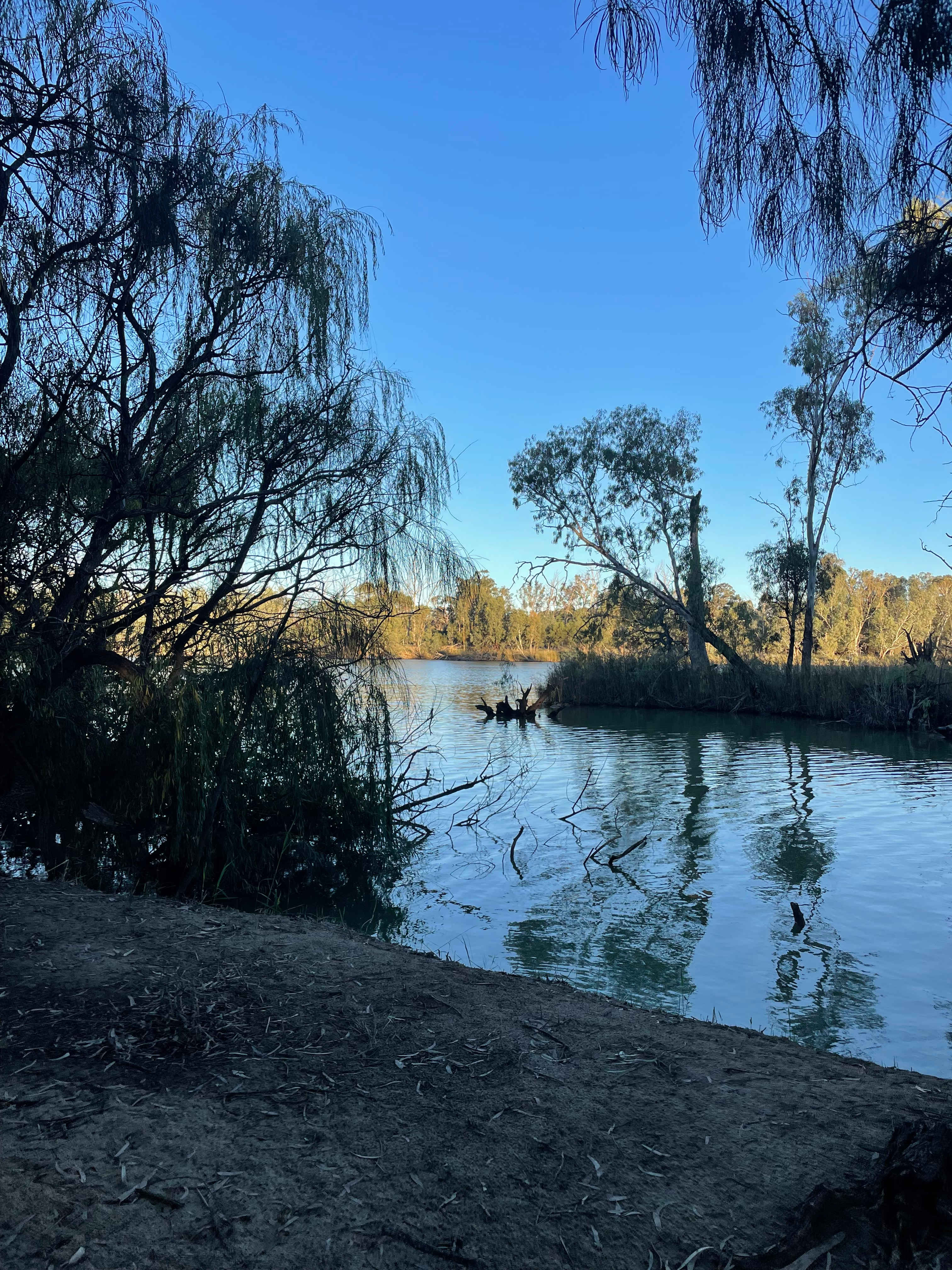 Rondel River Reserve